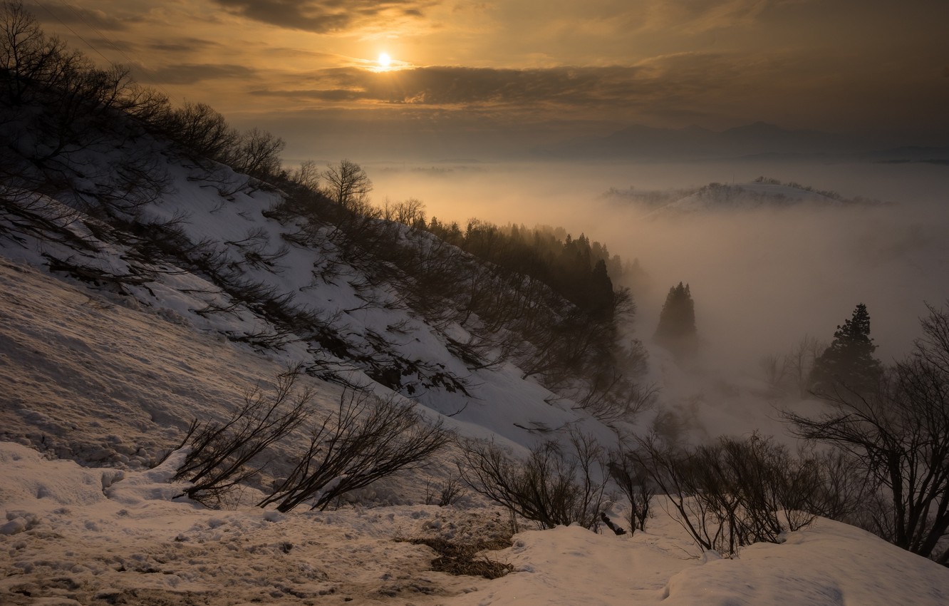 Snowy Winter Sunrise Wallpapers