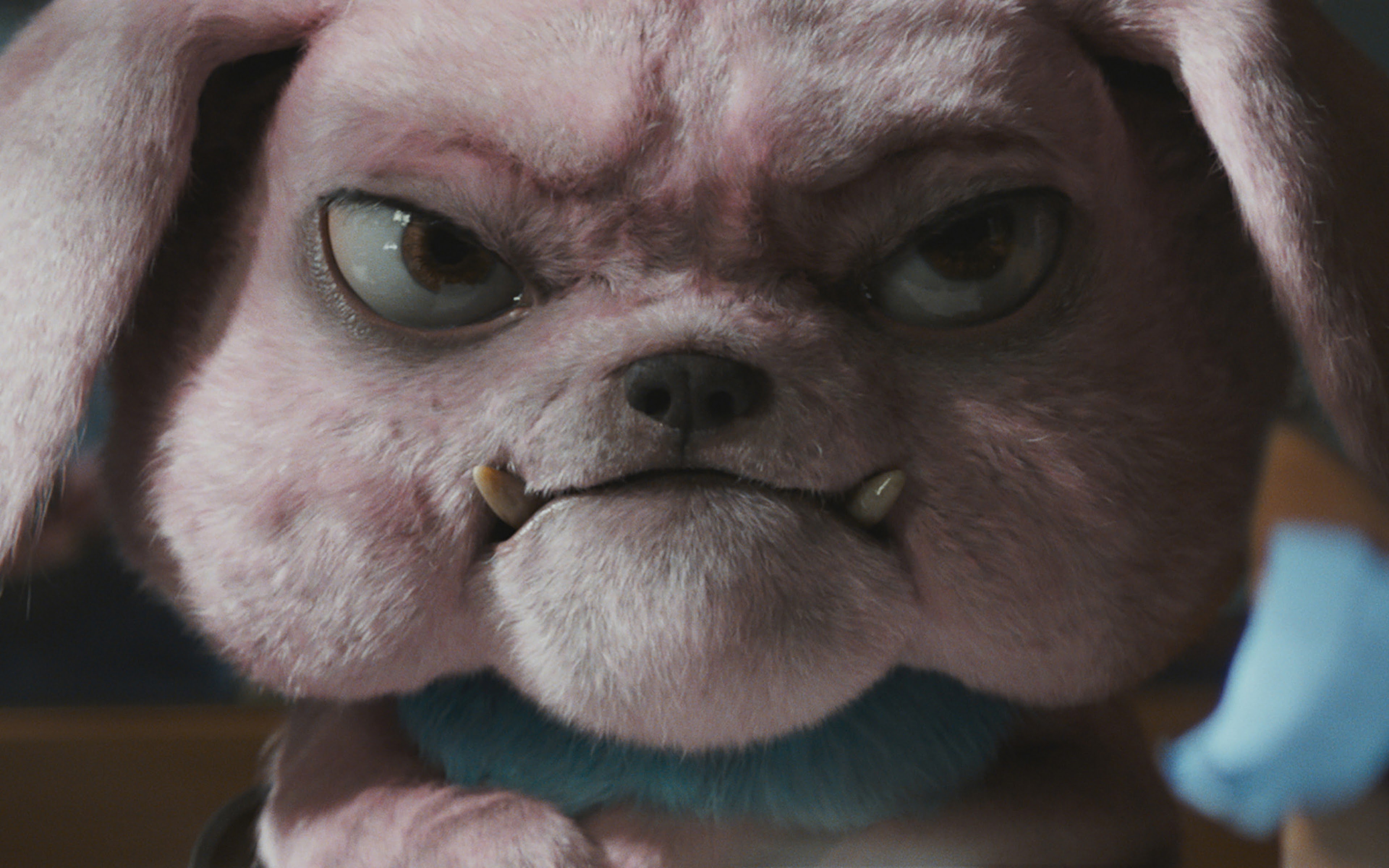 Snubbull Hd Wallpapers