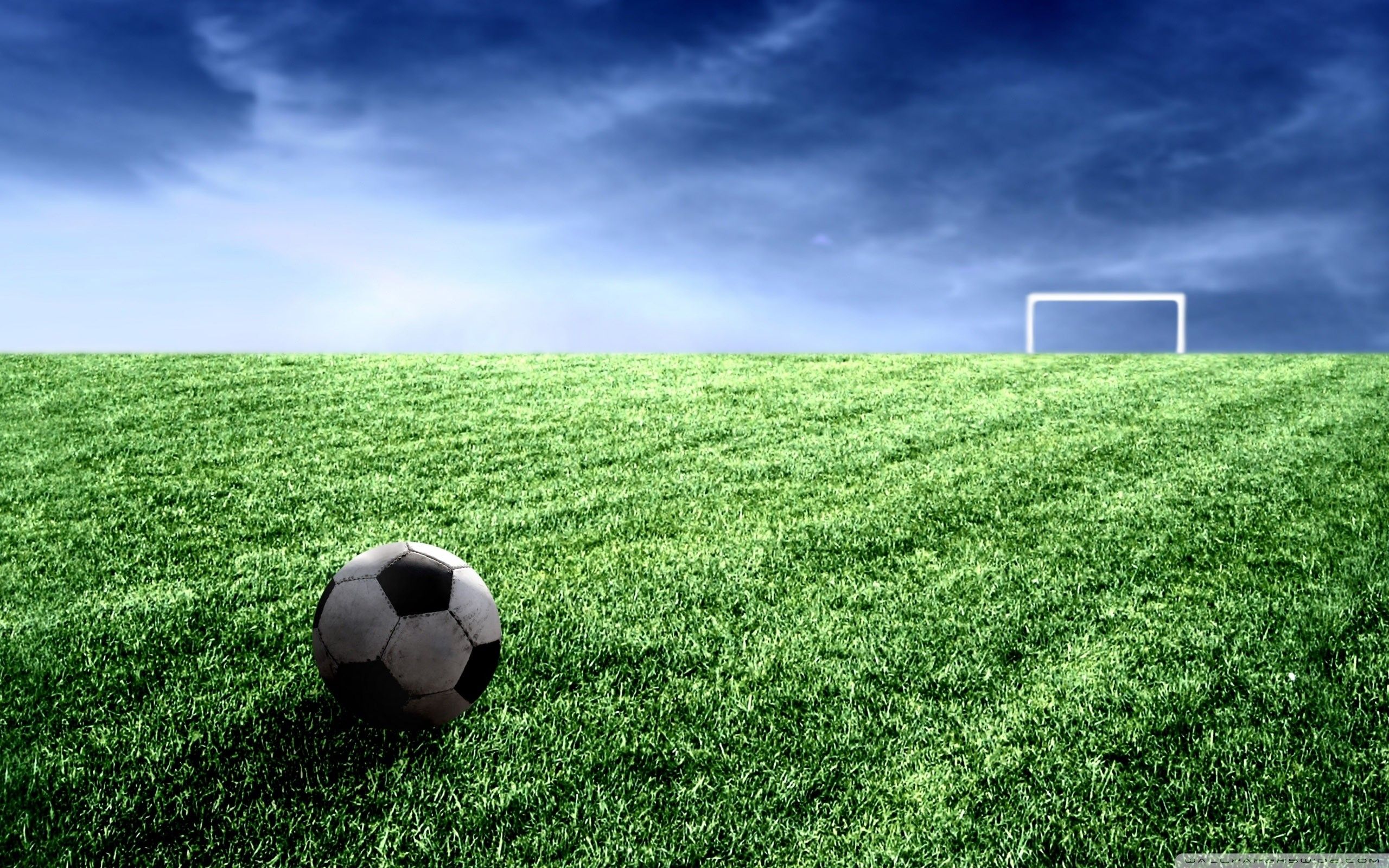 Soccer Field Background Hd