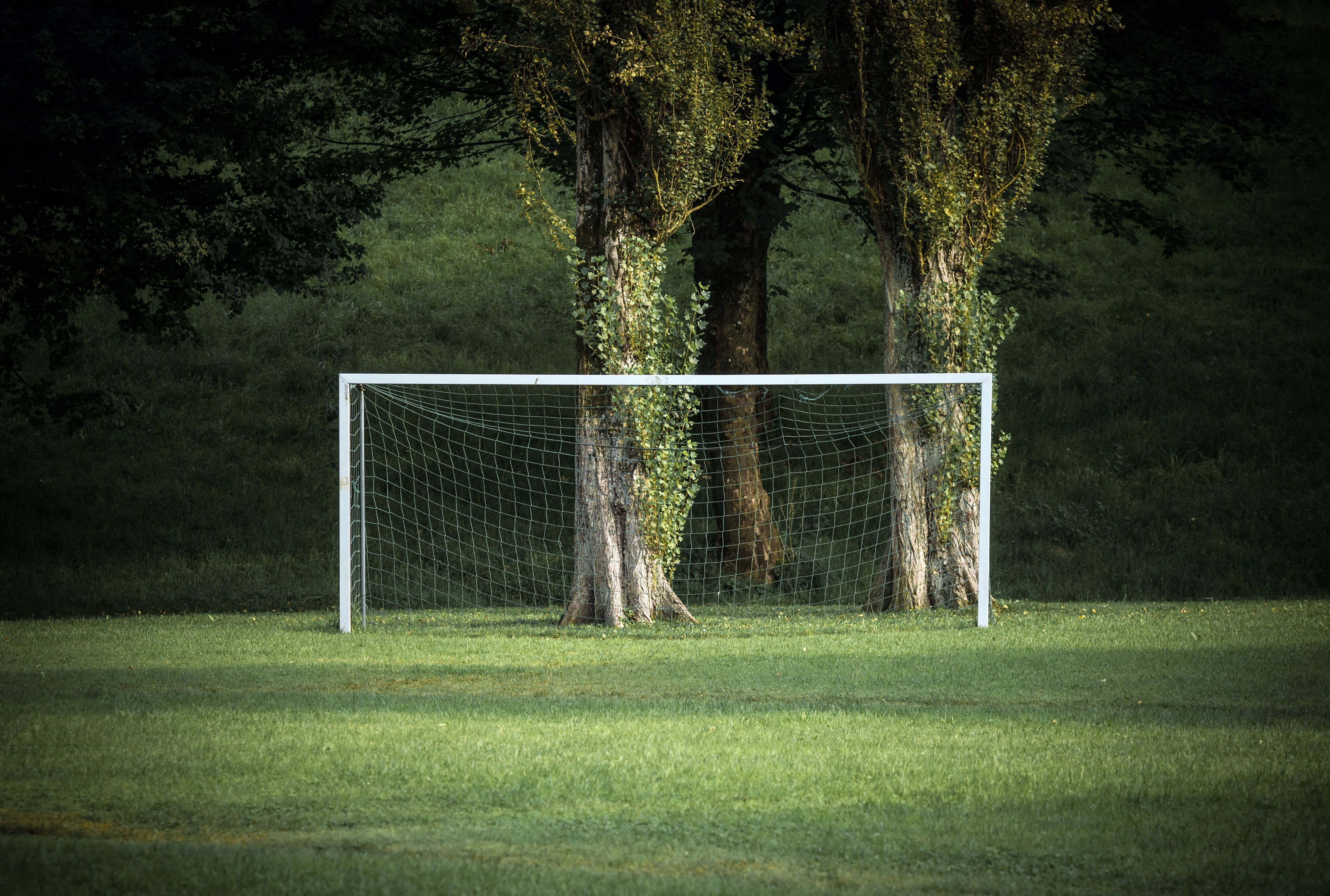 Soccer Field Background Hd