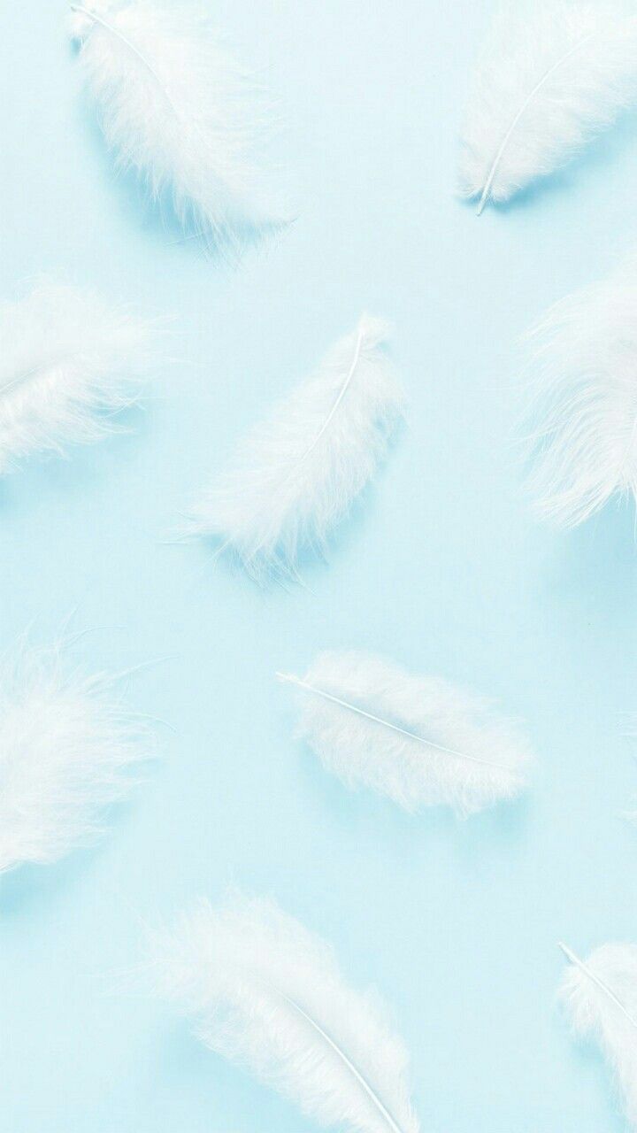 Softie Wallpapers