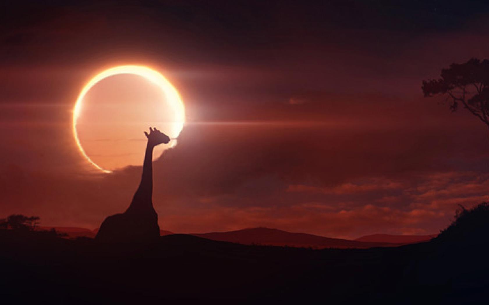 Solar Eclipse Wallpapers