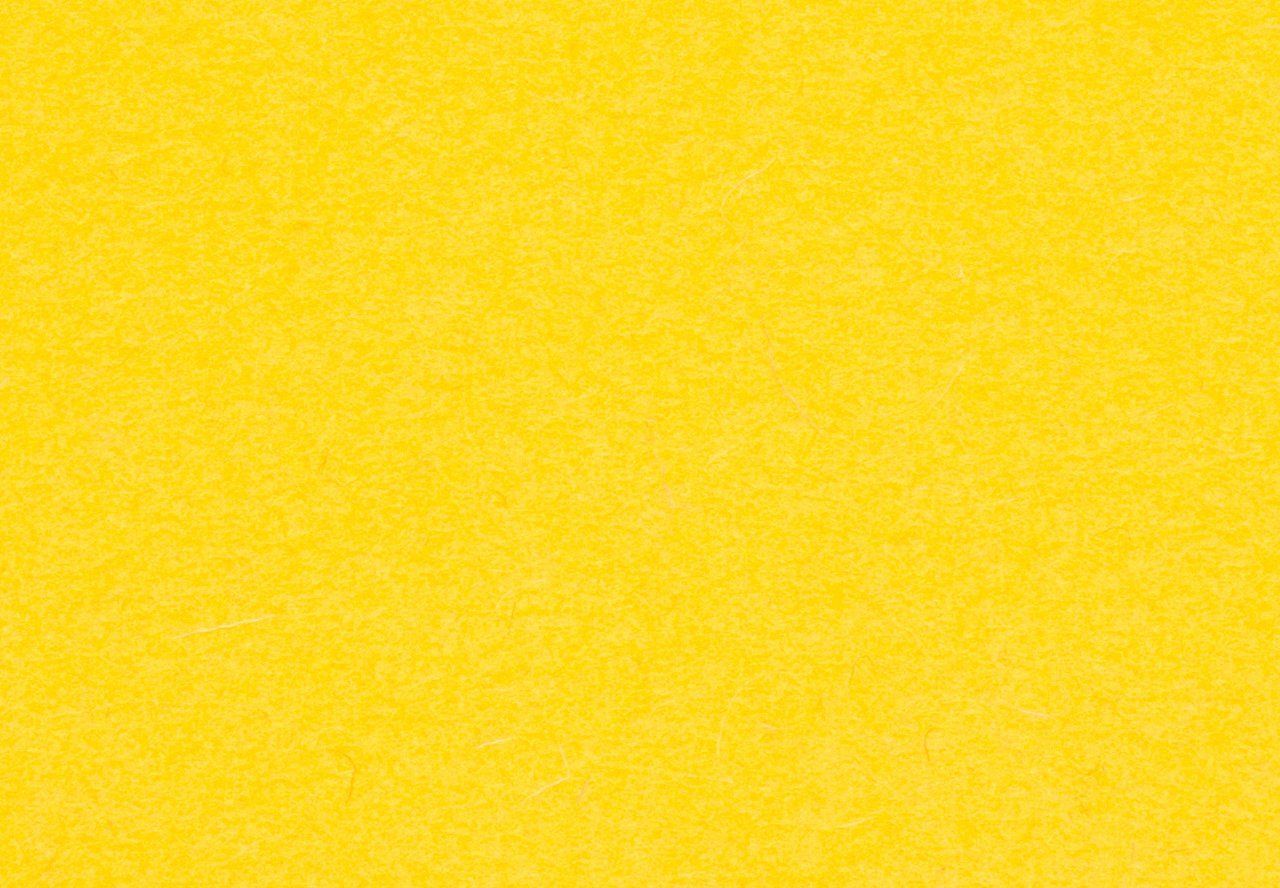 Solid Yellow Background