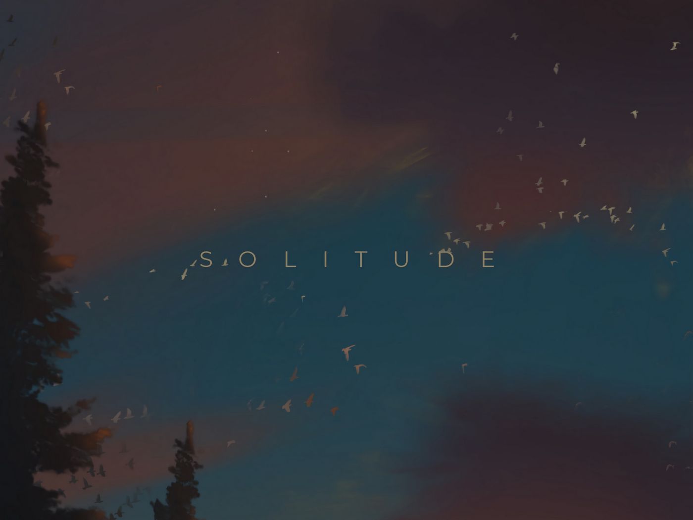 Solitude
 Wallpapers