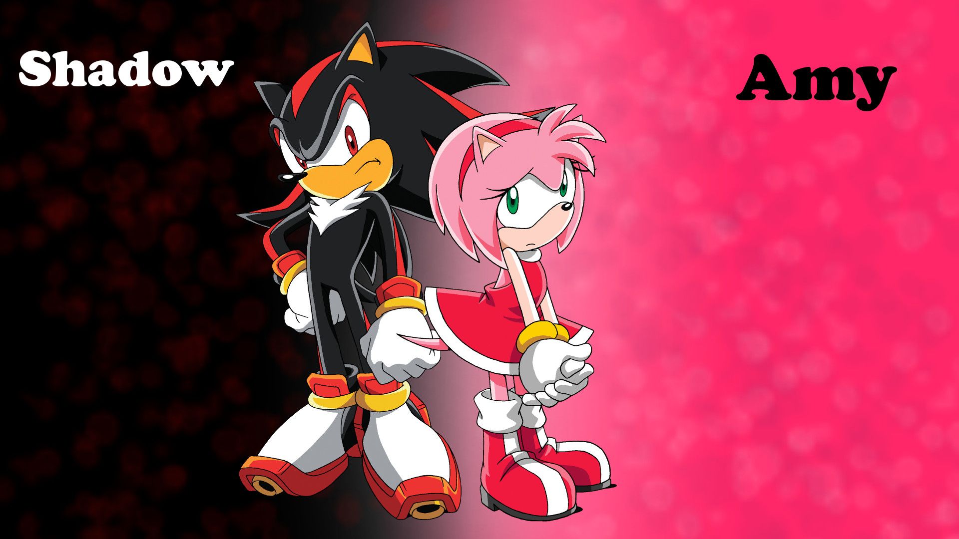 Sonic And Amy Pictures Wallpapers