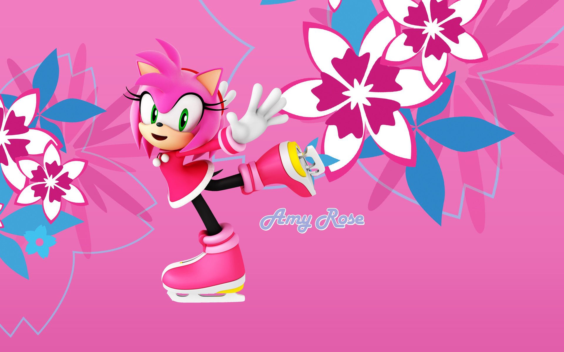 Sonic And Amy Pictures Wallpapers