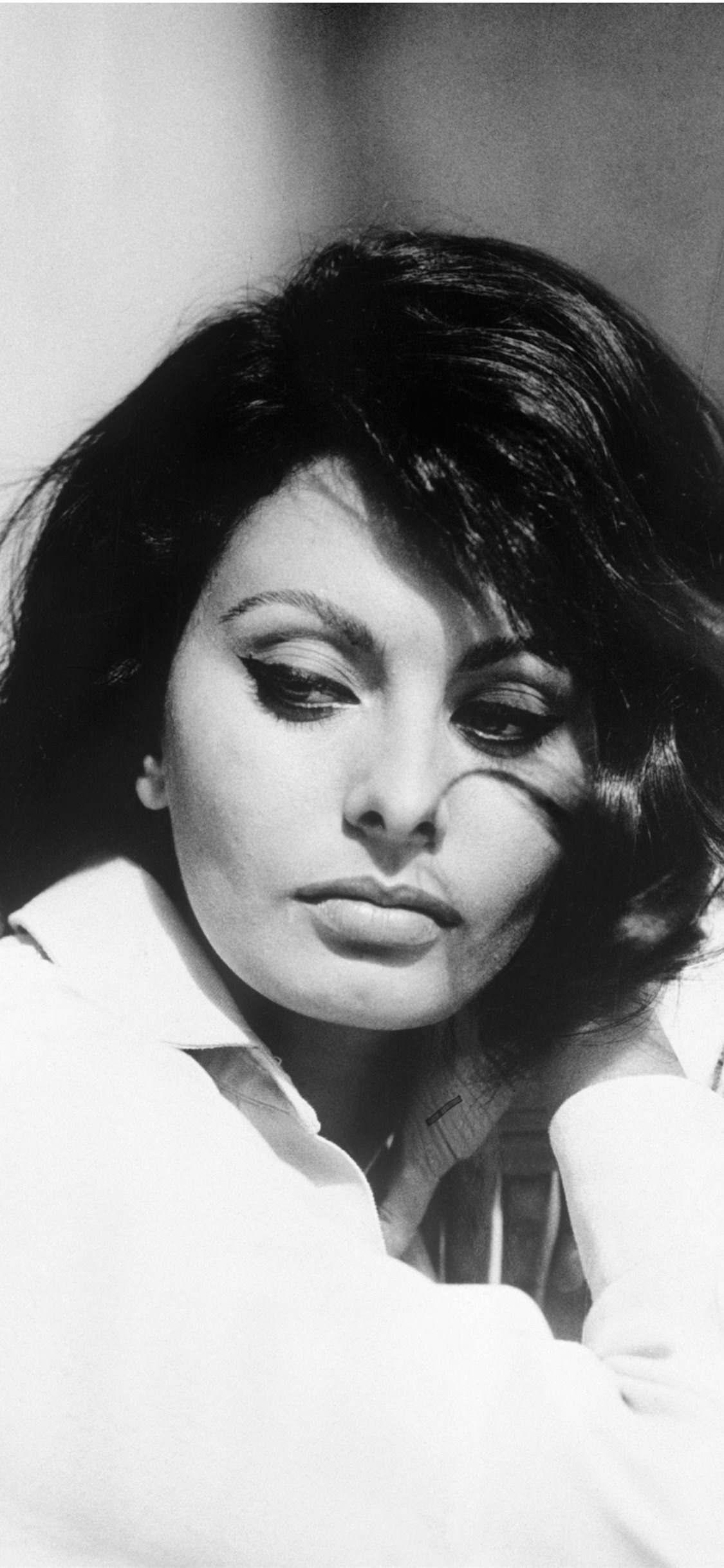 Sophia Loren Wallpapers