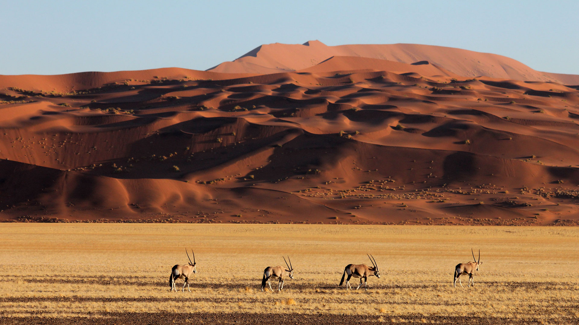 Sossusvlei Wallpapers