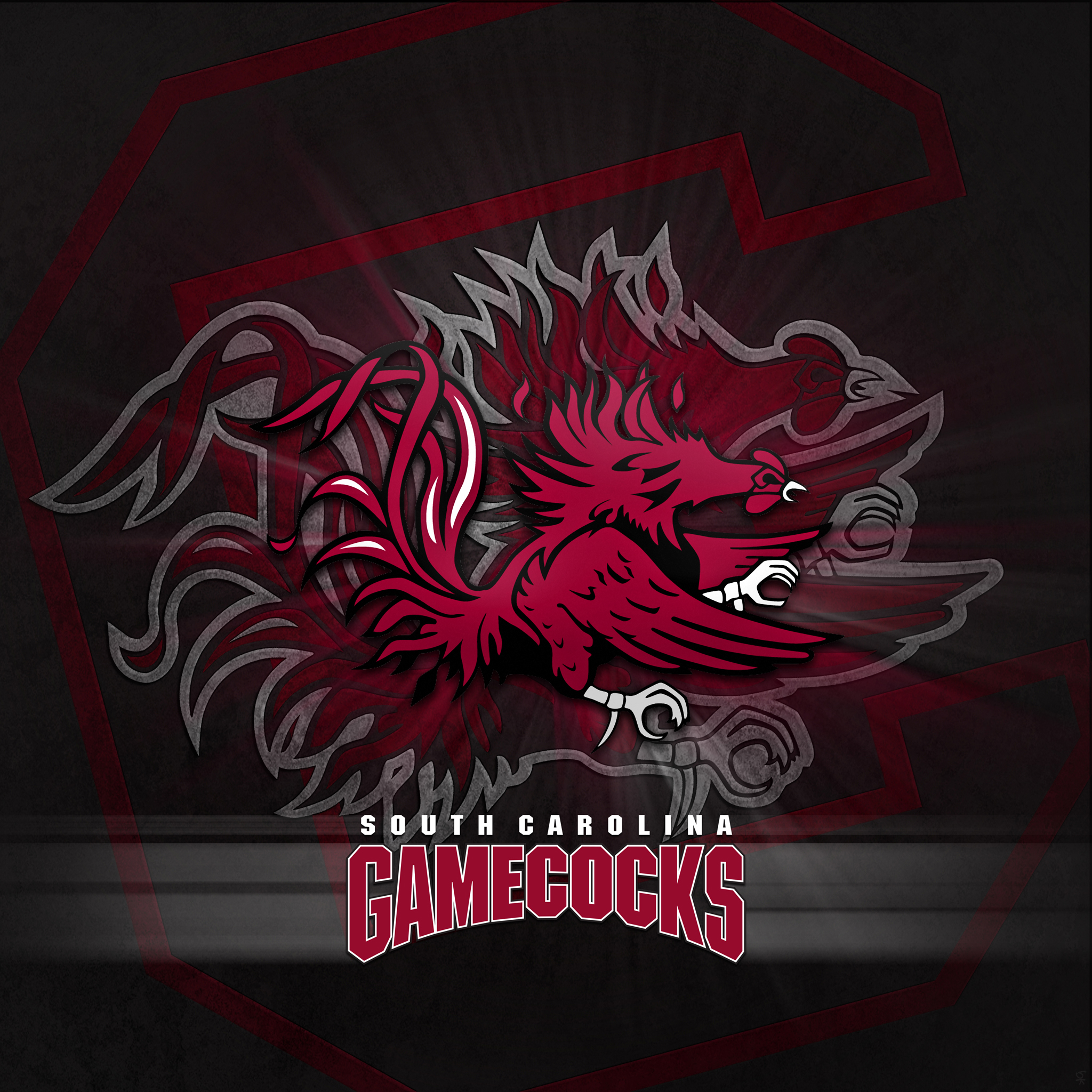 South Carolina Gamecocks Wallpapers