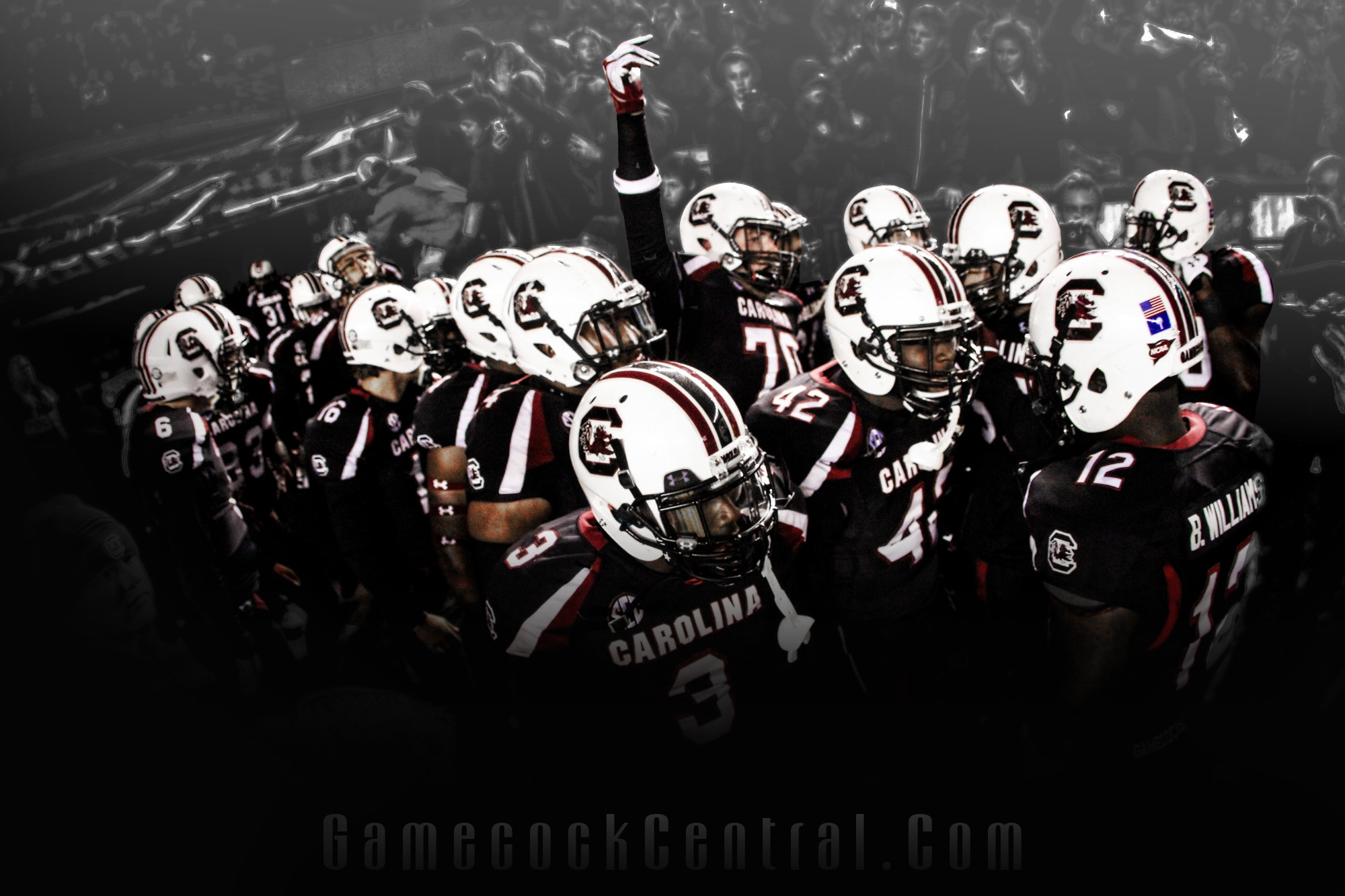 South Carolina Gamecocks Wallpapers