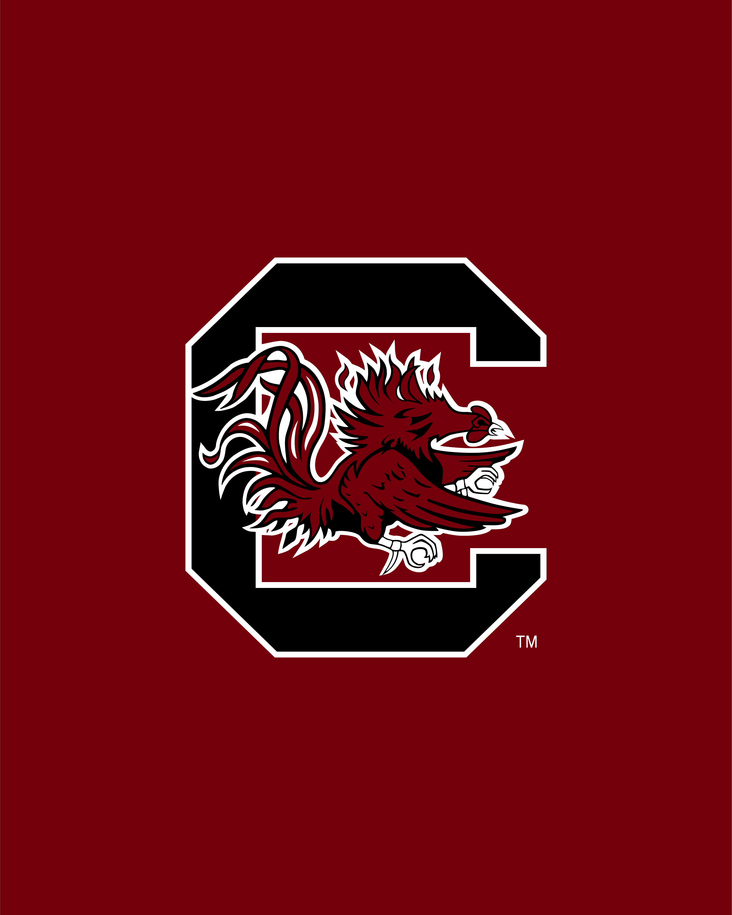 South Carolina Gamecocks Wallpapers