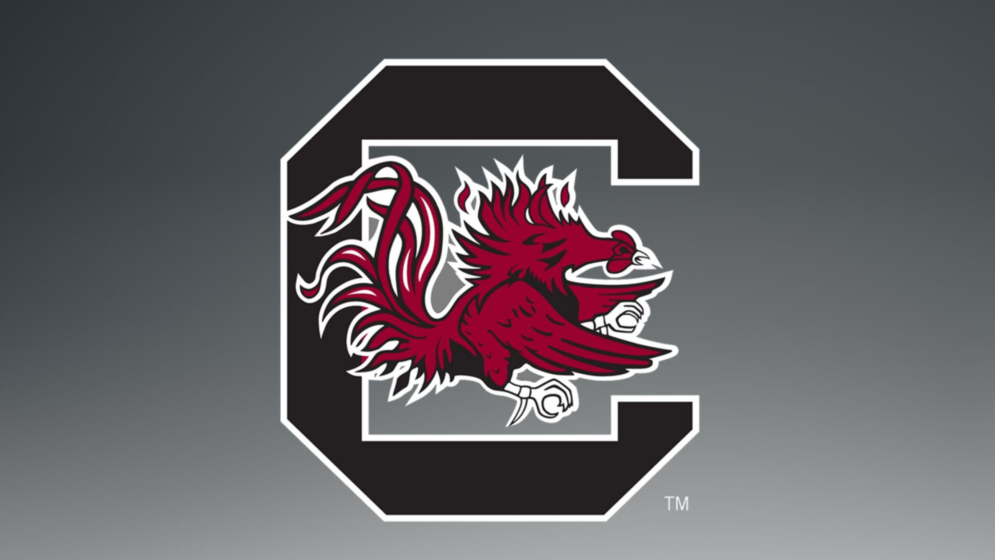 South Carolina Gamecocks Wallpapers