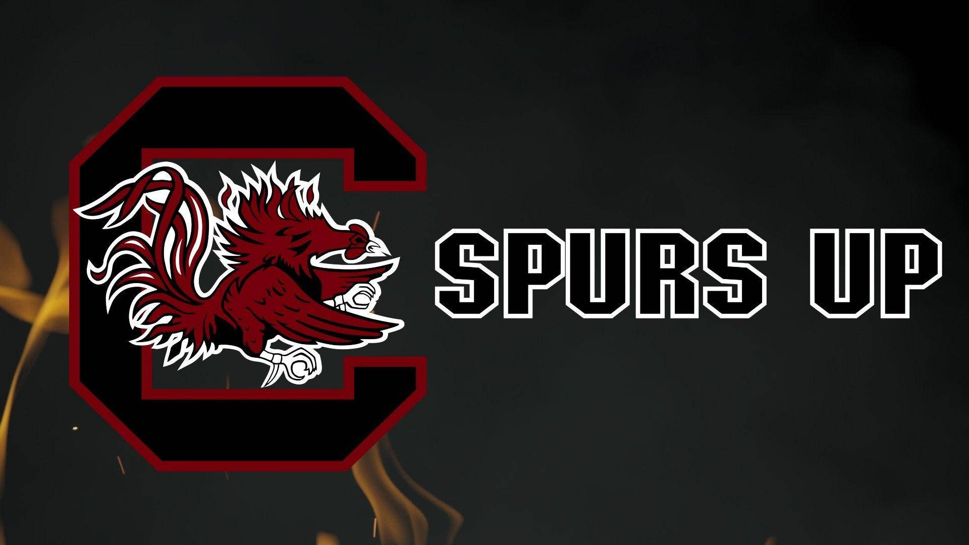 South Carolina Gamecocks Wallpapers