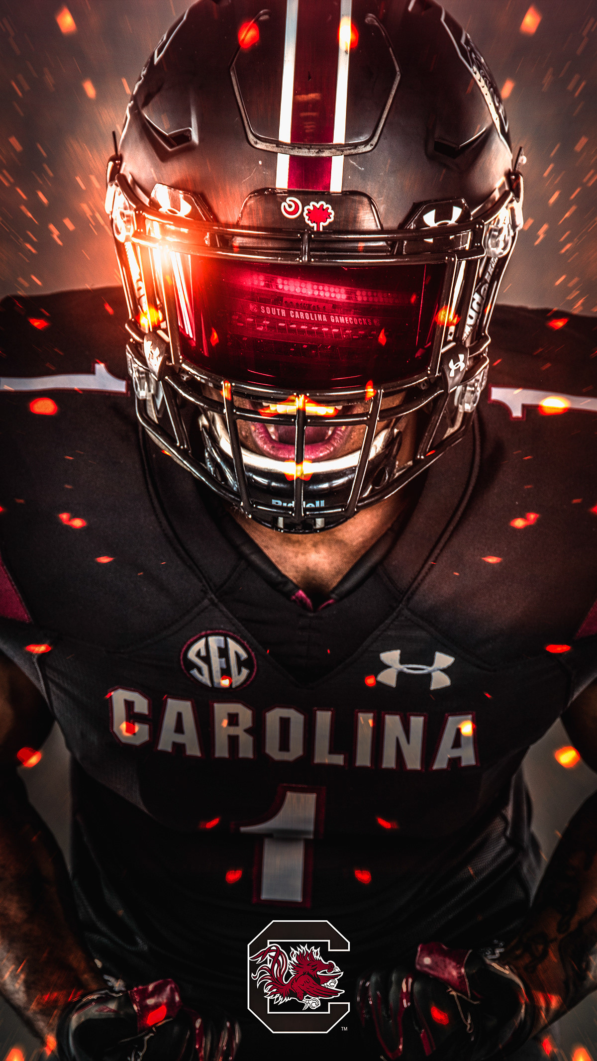 South Carolina Gamecocks Wallpapers