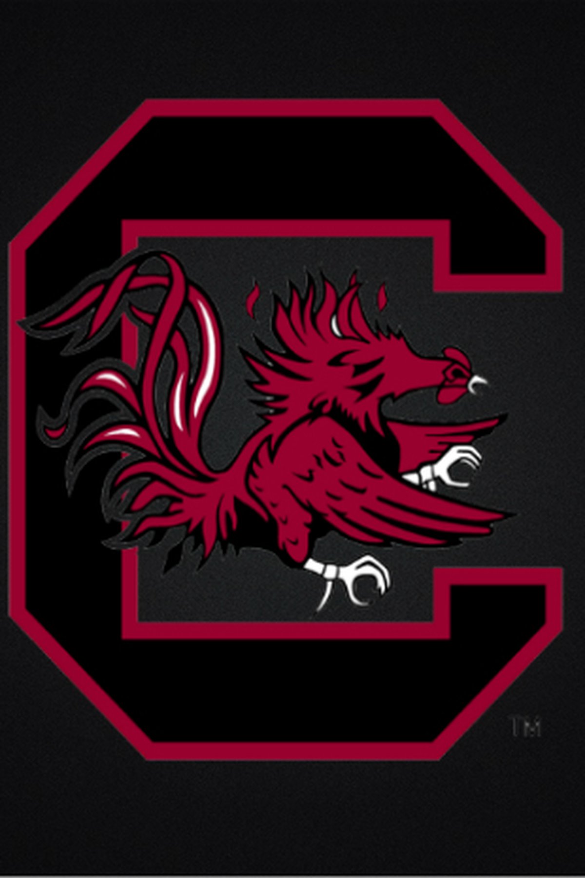 South Carolina Gamecocks Wallpapers