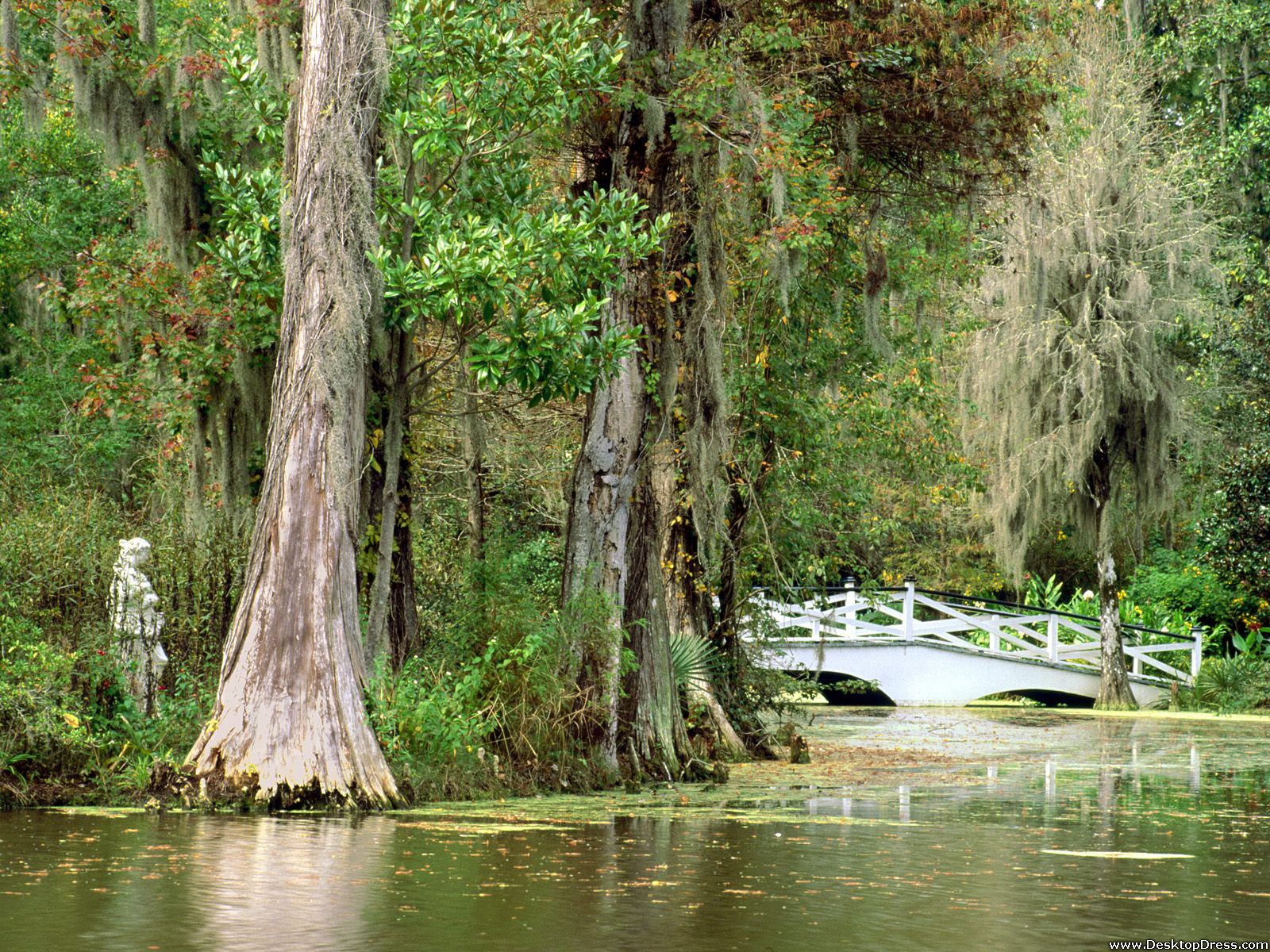 South Carolina Wallpapers