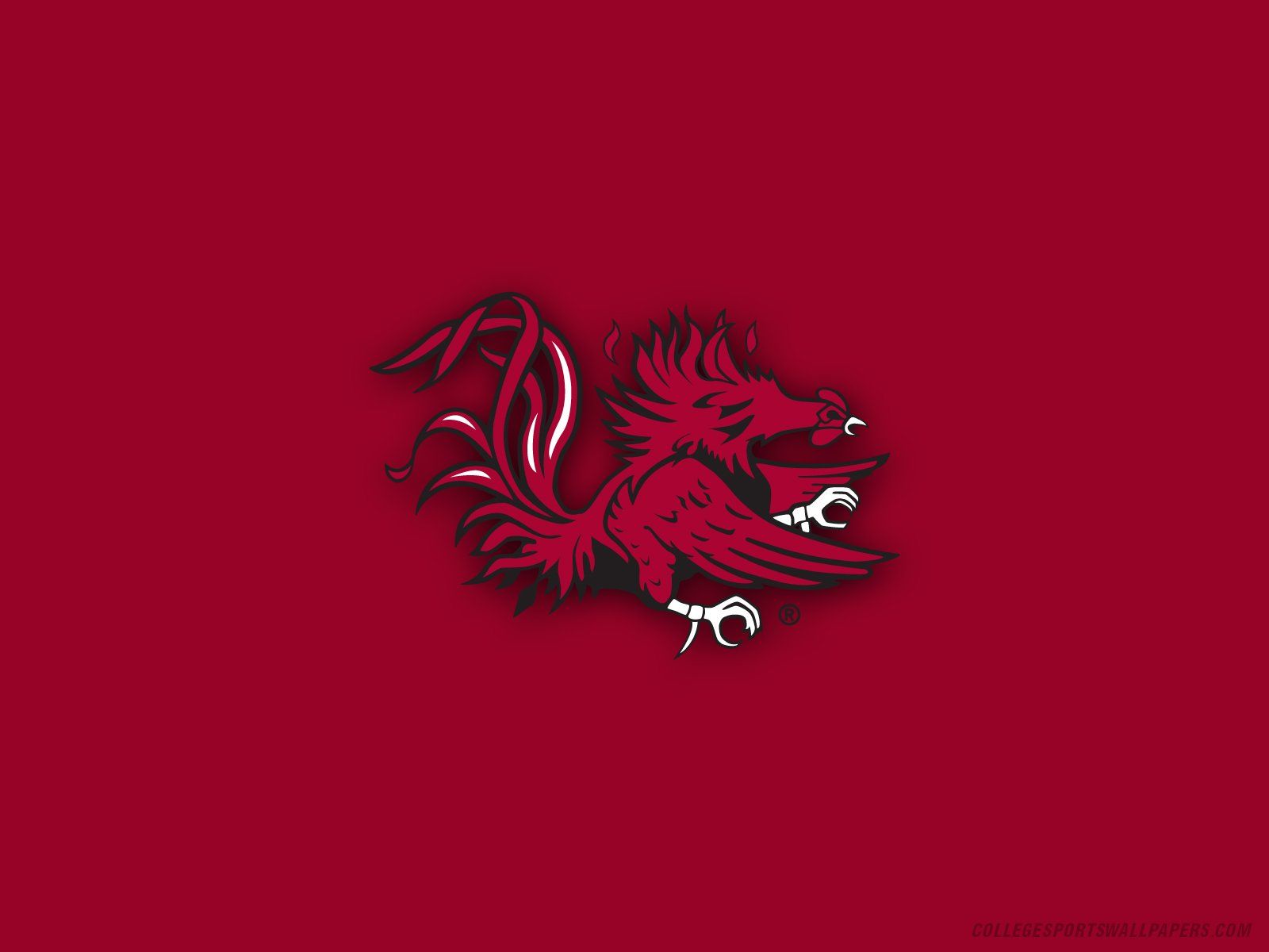 South Carolina Wallpapers