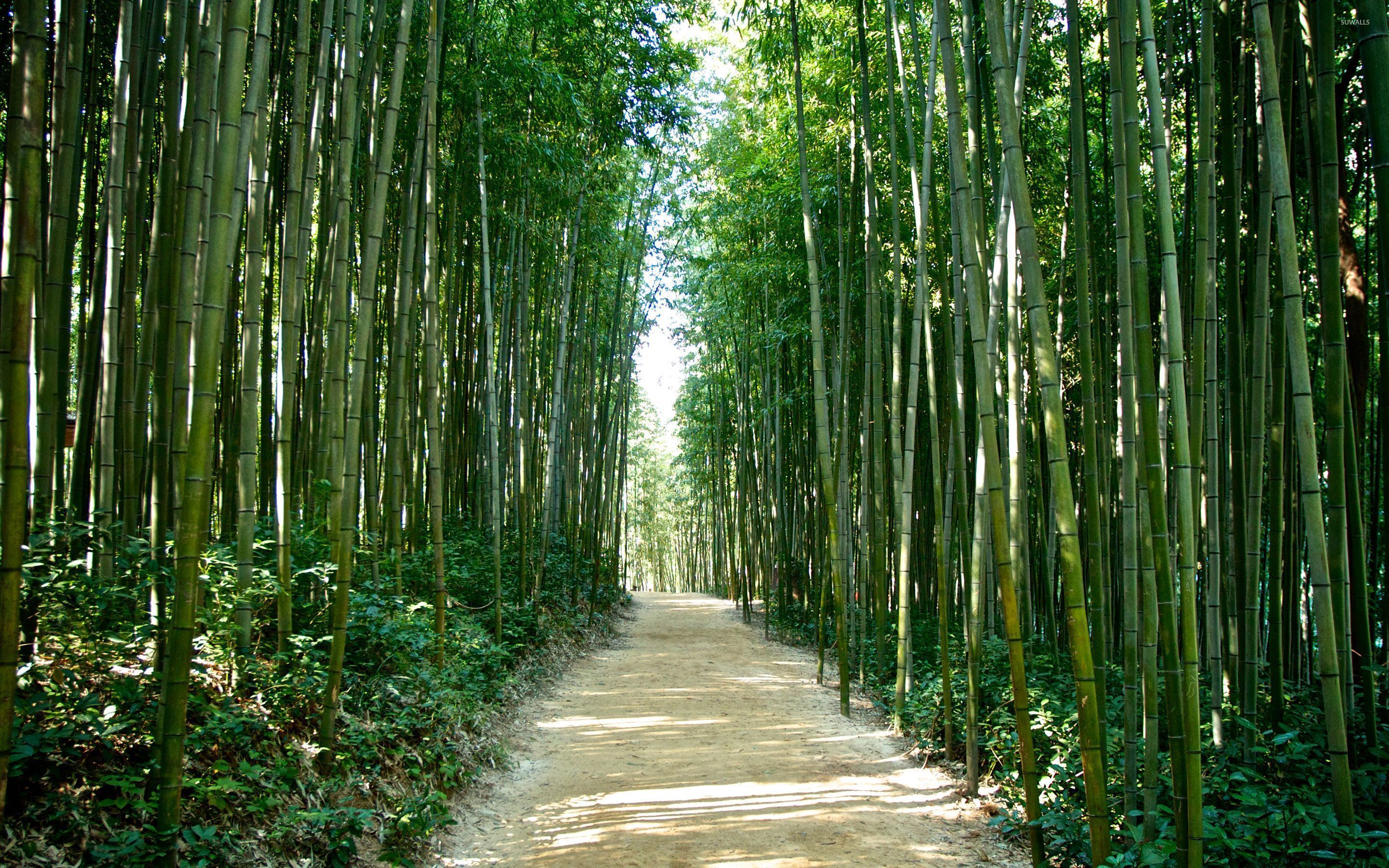 South Korea Countryside Wallpapers