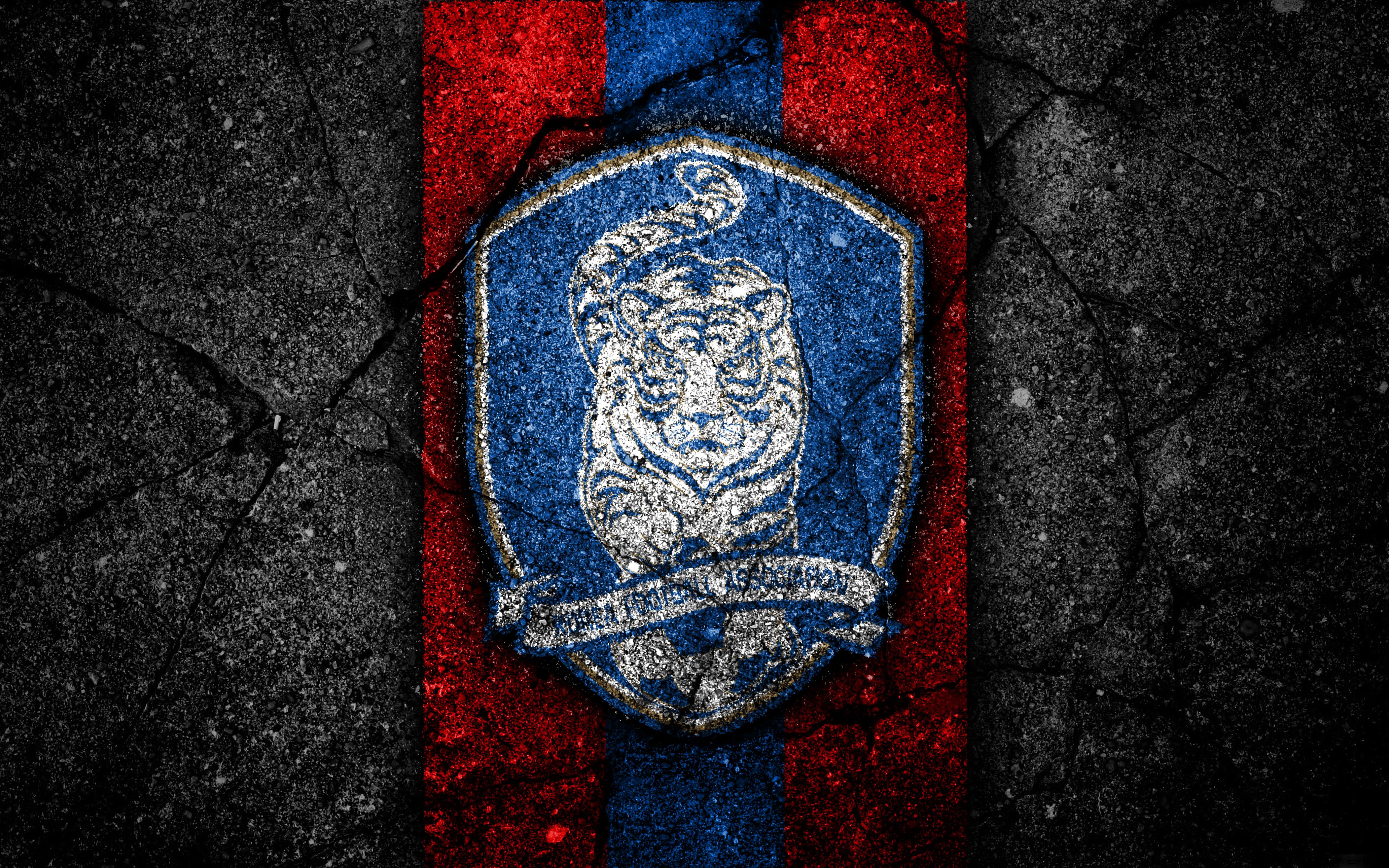 South Korea National Football Team Wallpapers