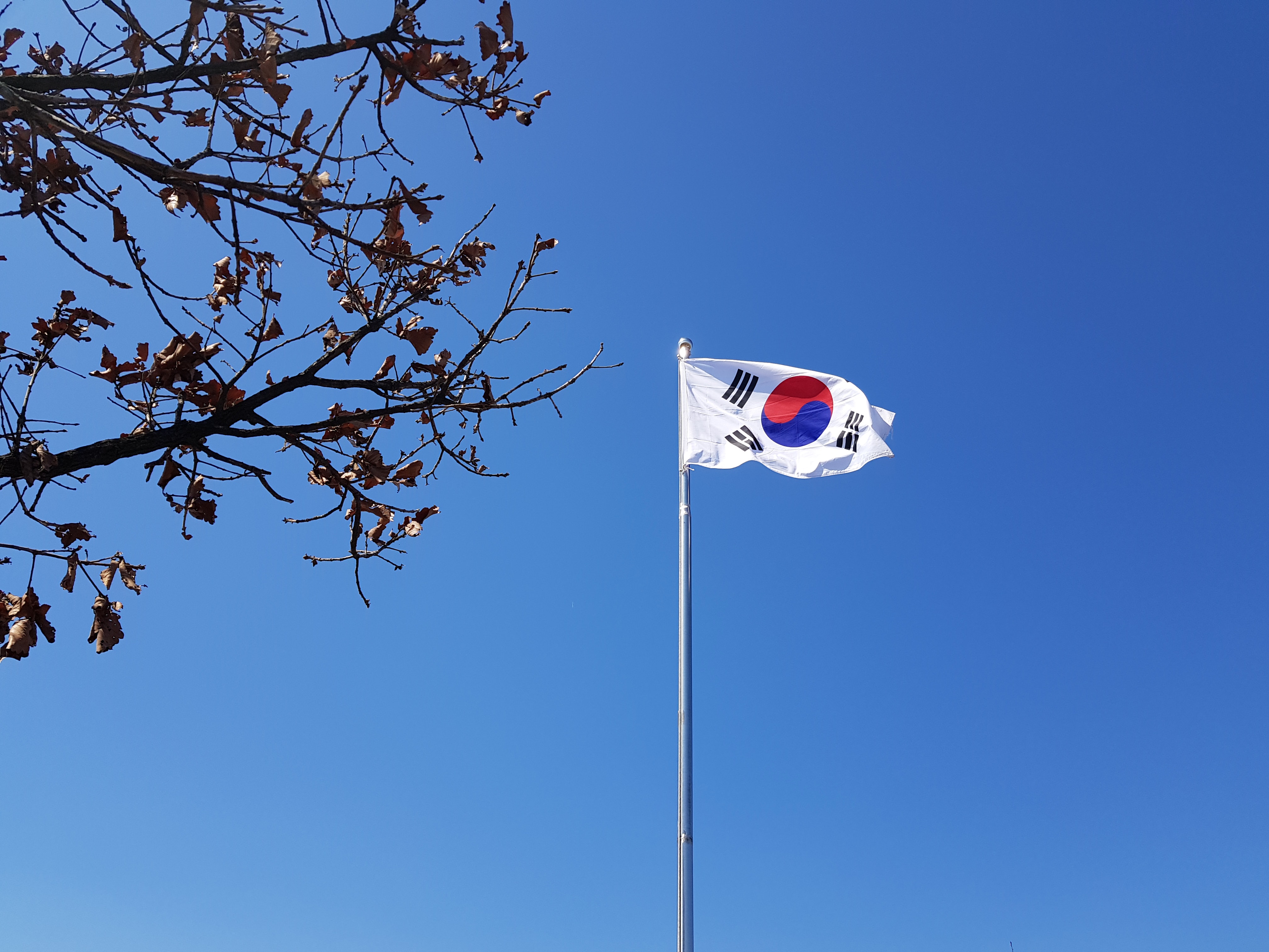 South Korean Flag Wallpapers