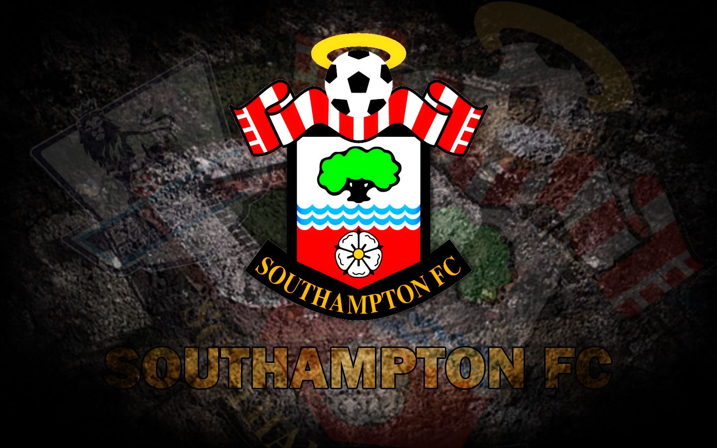 Southampton F.C. Wallpapers