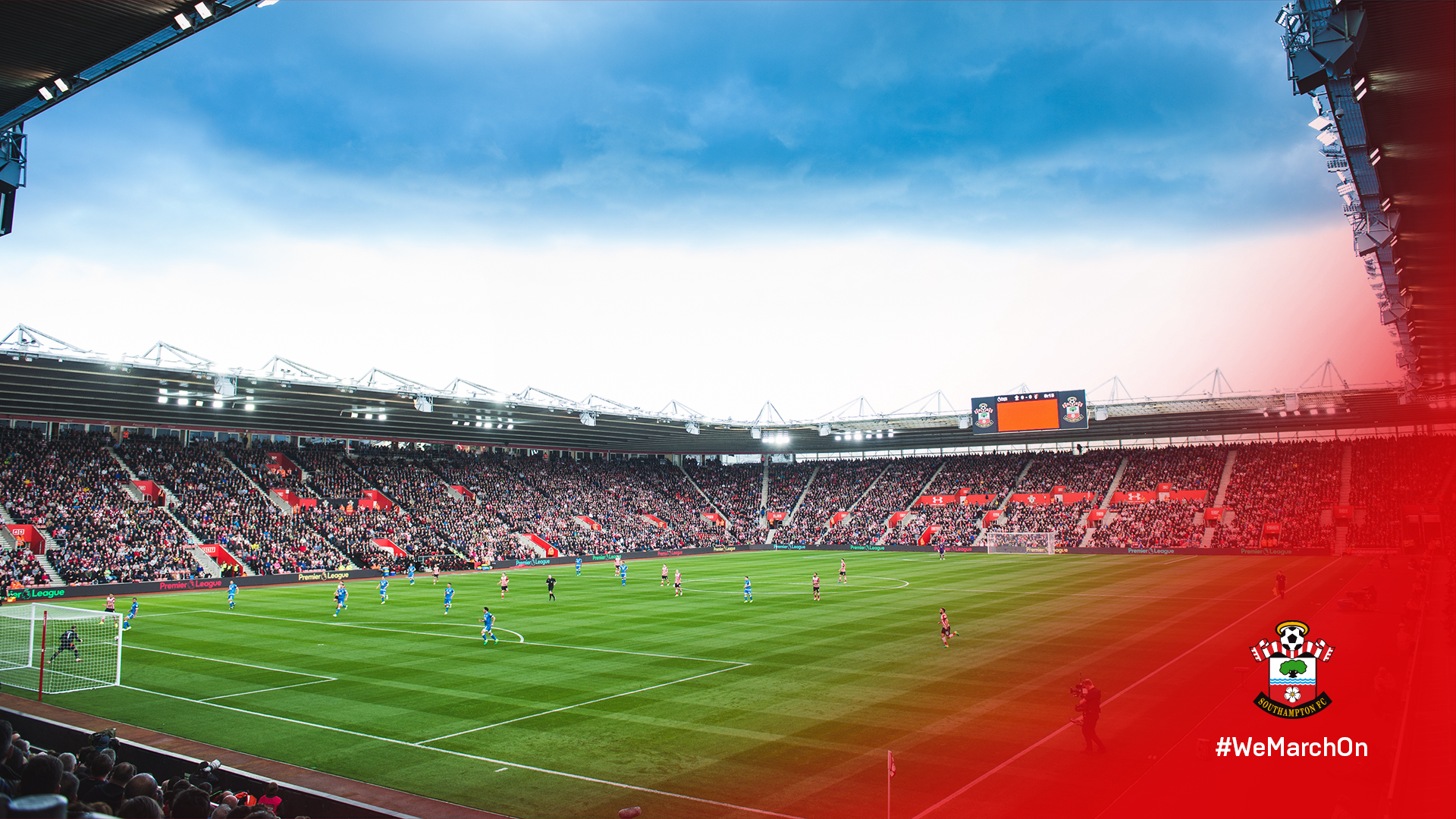 Southampton F.C. Wallpapers