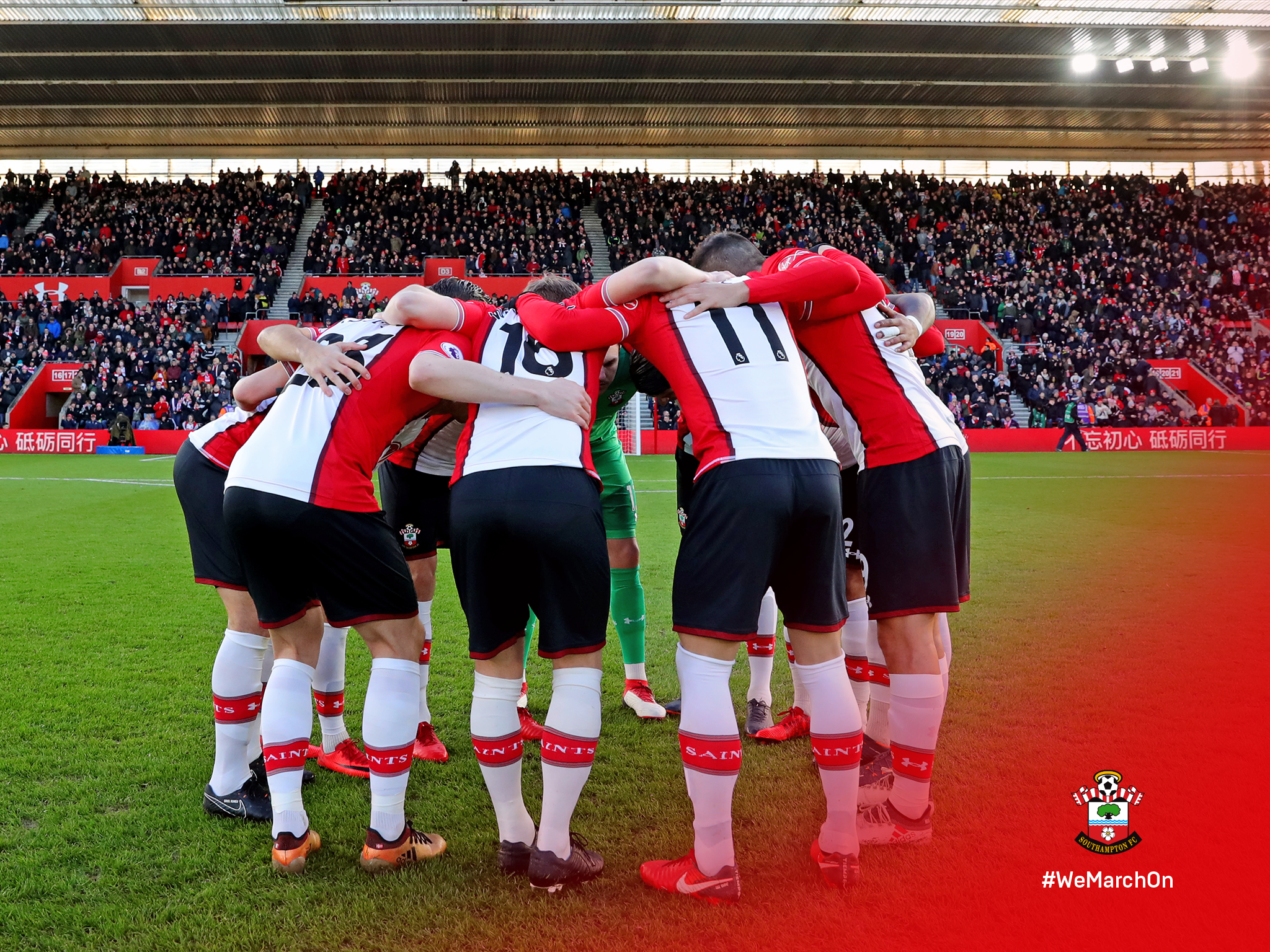 Southampton F.C. Wallpapers