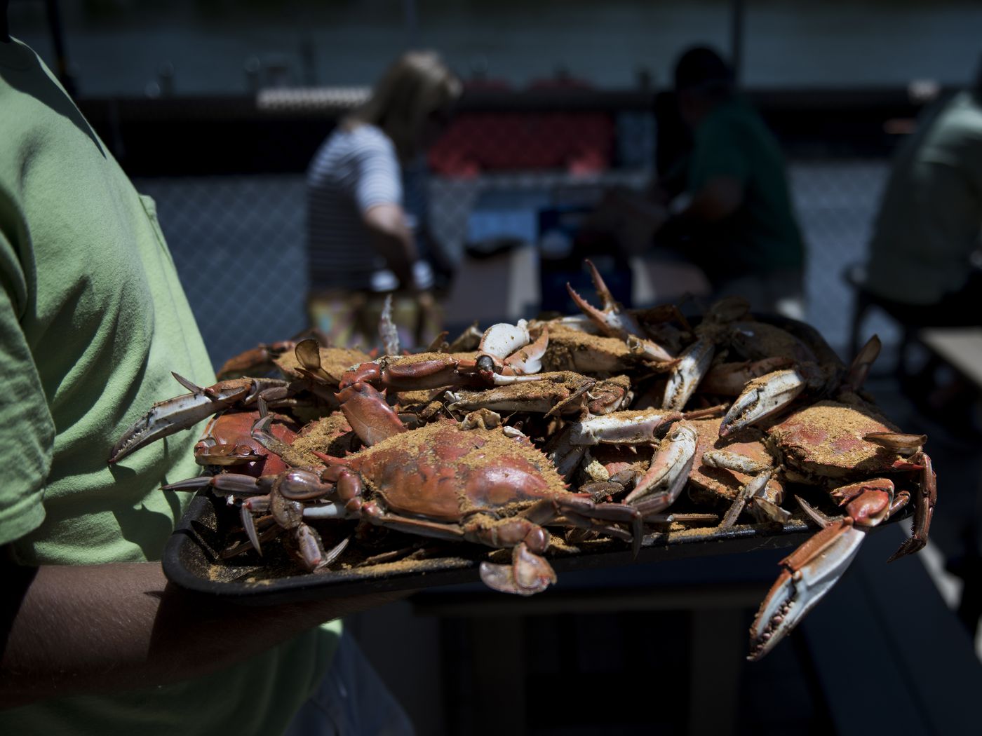 Southern Maryland Blue Crabs Wallpapers