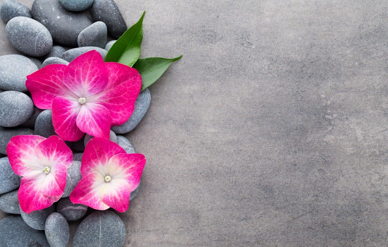 Spa Flowers Wallpapers