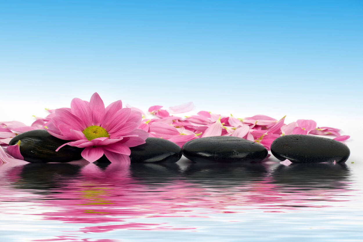 Spa Flowers Wallpapers