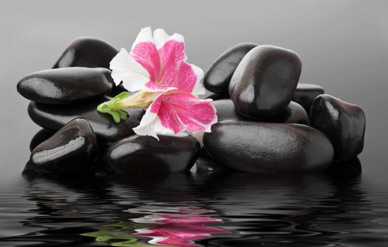 Spa Flowers Wallpapers