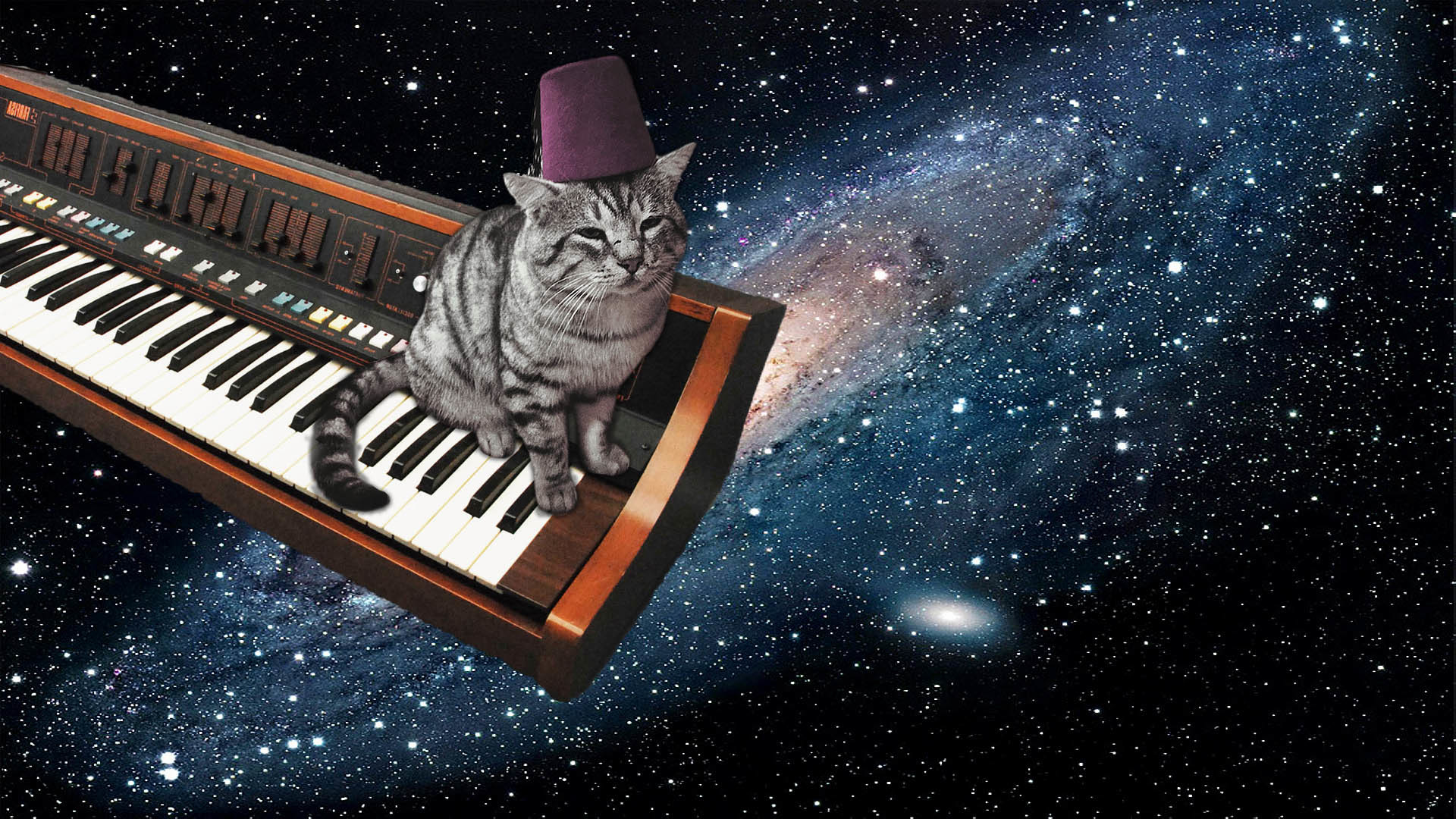 Space Galaxy Cat Wallpapers