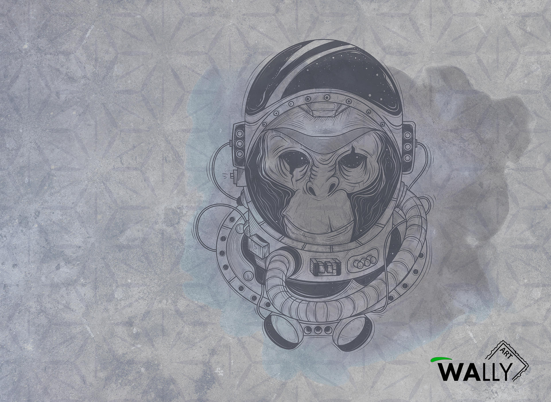 Space Monkey Wallpapers