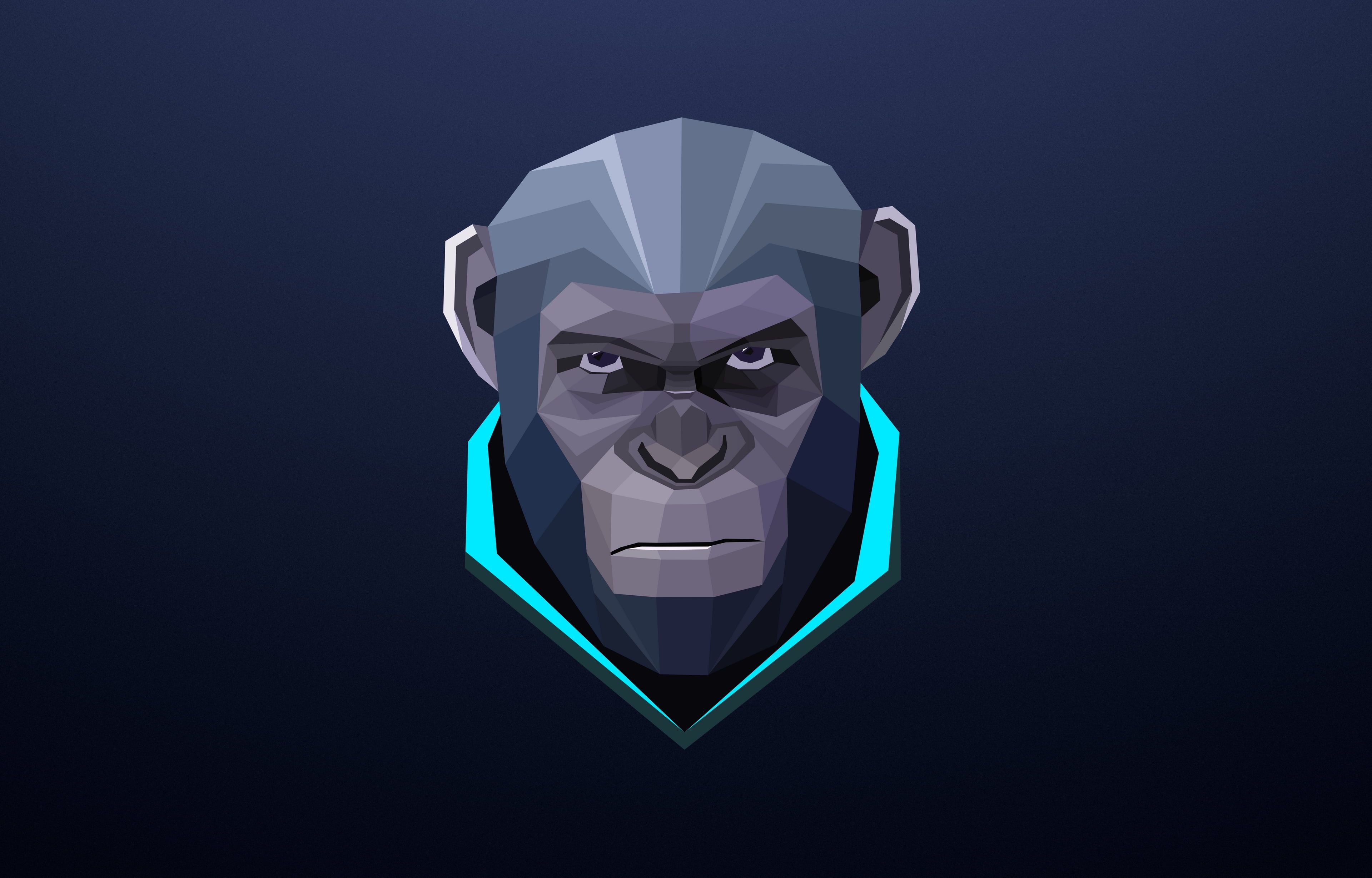 Space Monkey Wallpapers