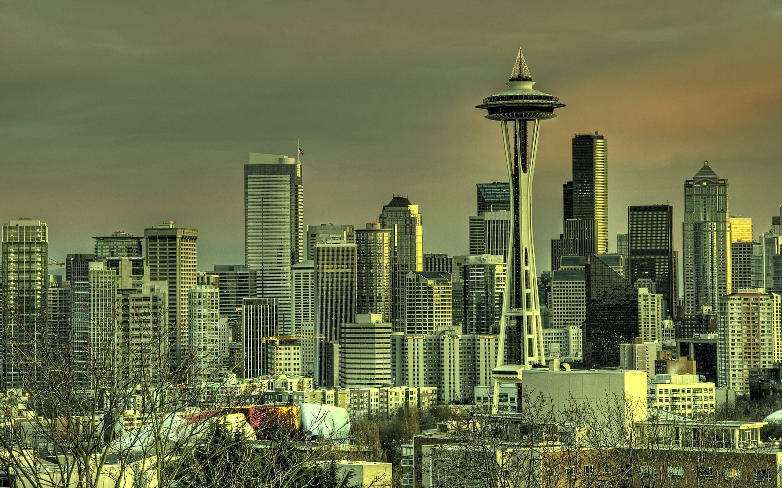 Space Needle Wallpapers