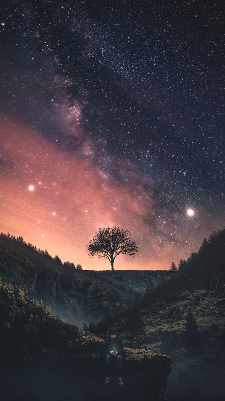 Space Tree Wallpapers