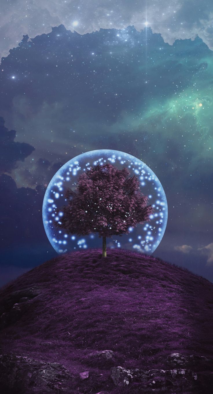 Space Tree Wallpapers