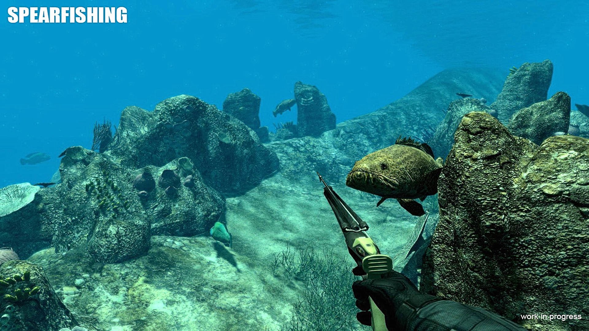 Spearfishing Wallpapers