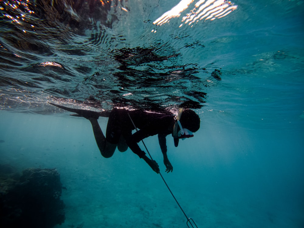 Spearfishing Wallpapers