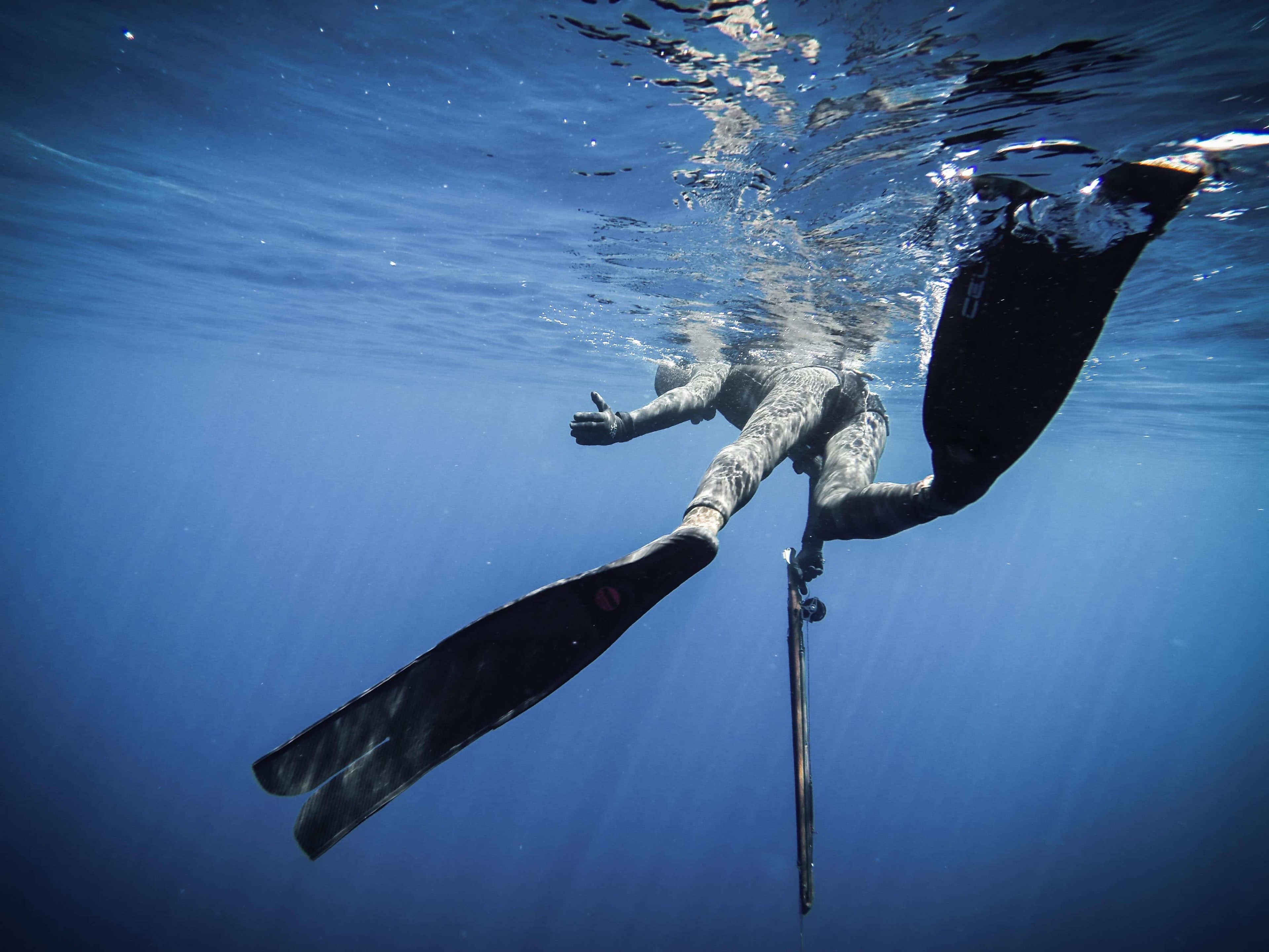 Spearfishing Wallpapers