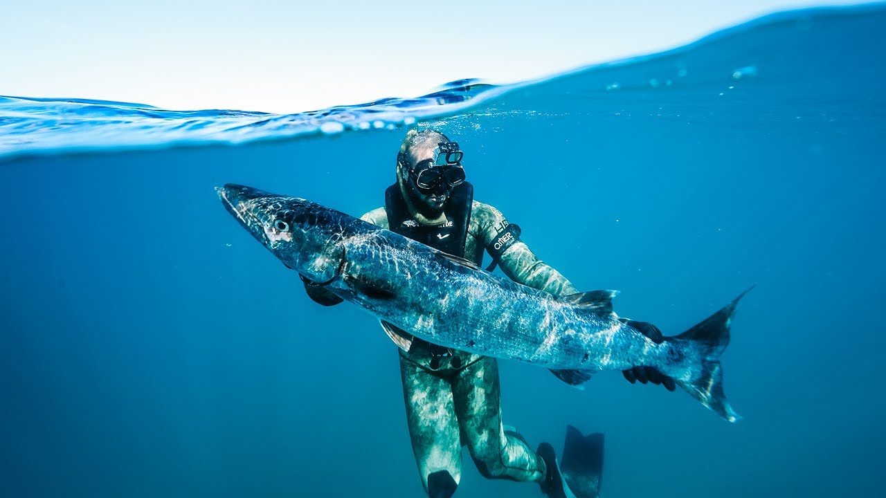 Spearfishing Wallpapers