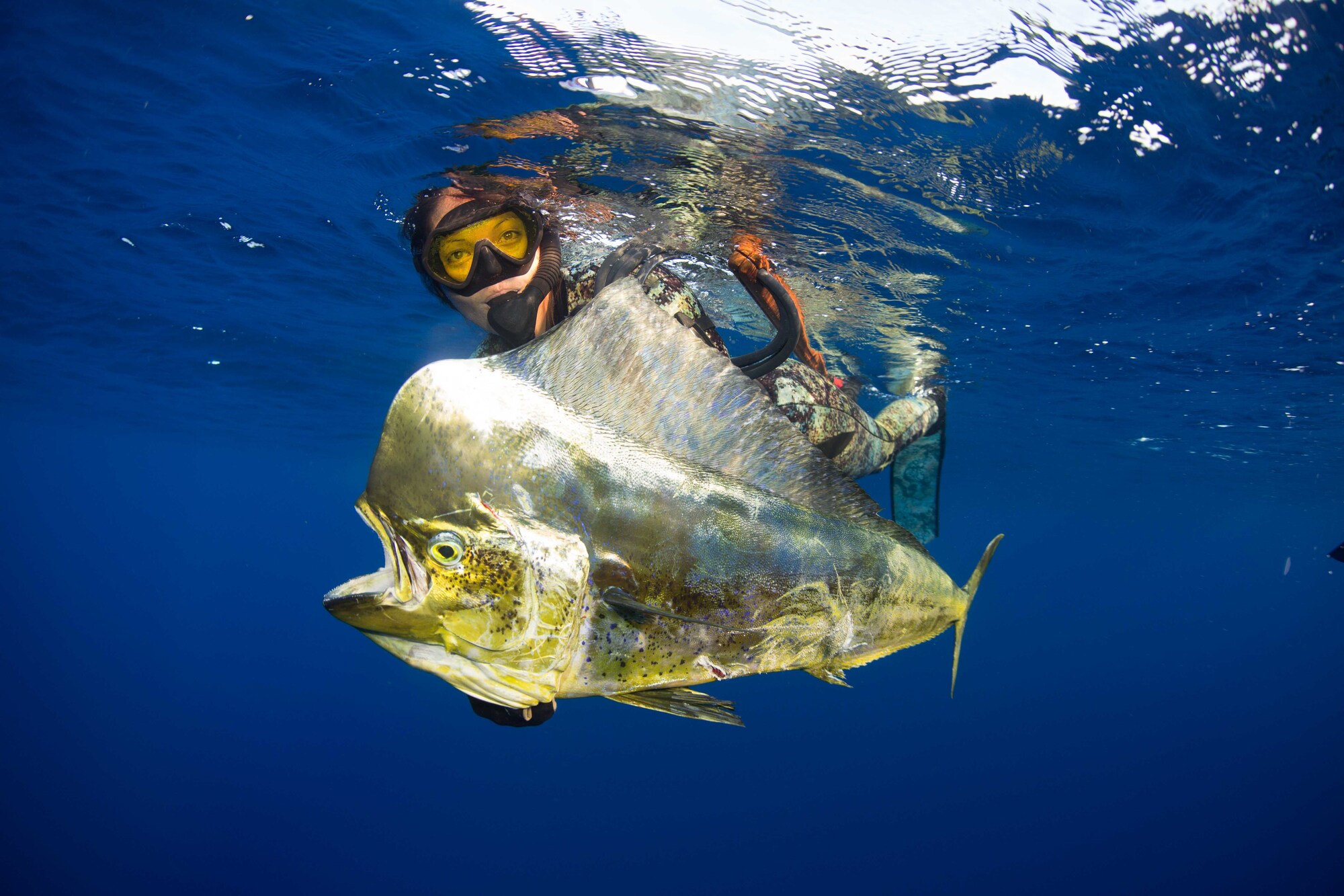 Spearfishing Wallpapers