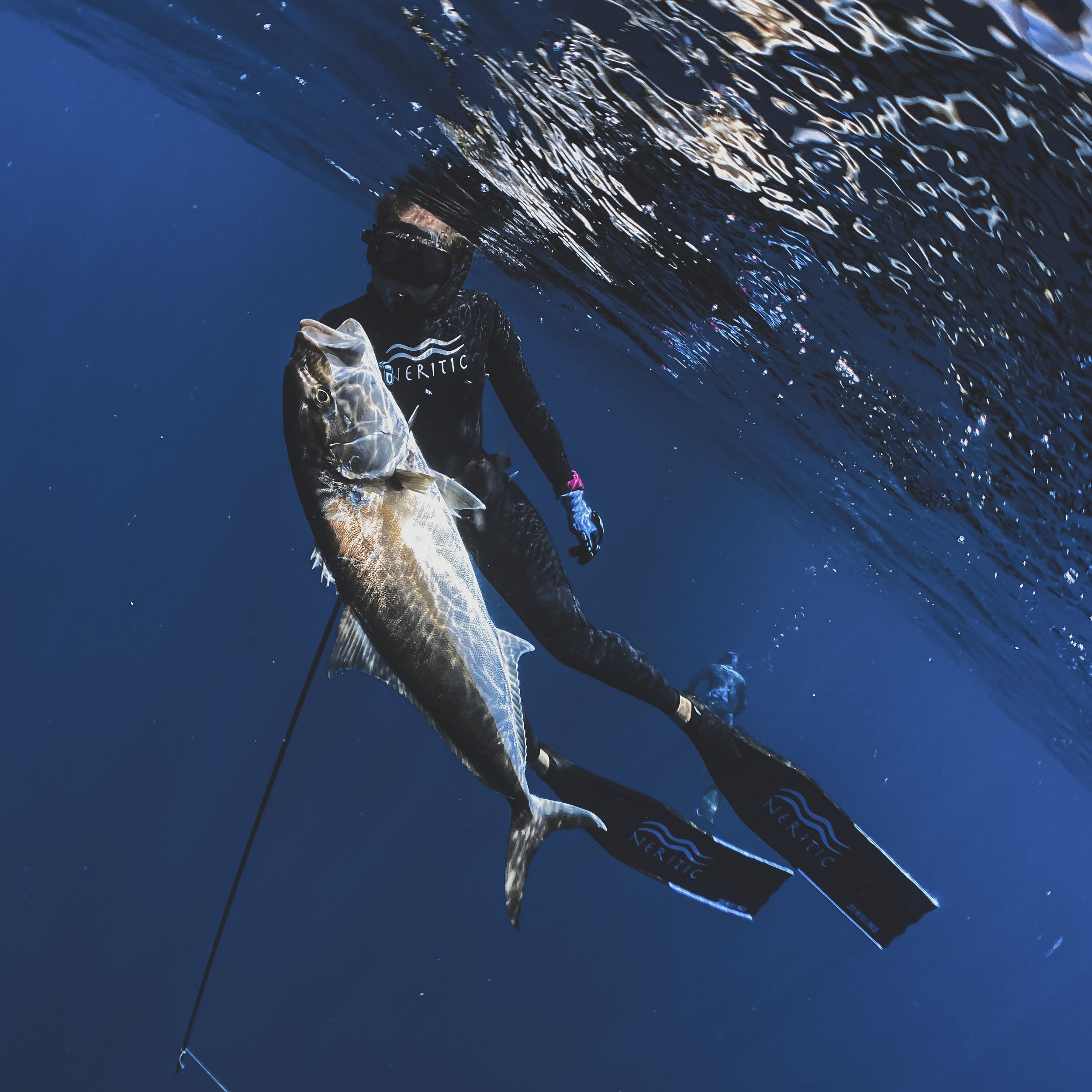 Spearfishing Wallpapers