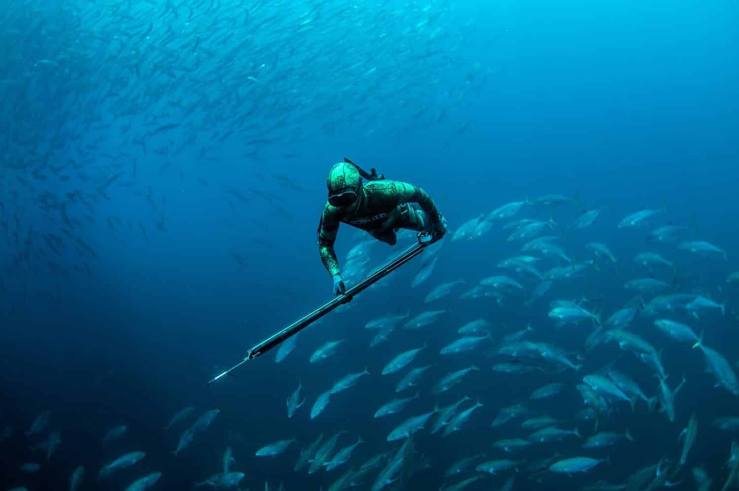 Spearfishing Wallpapers