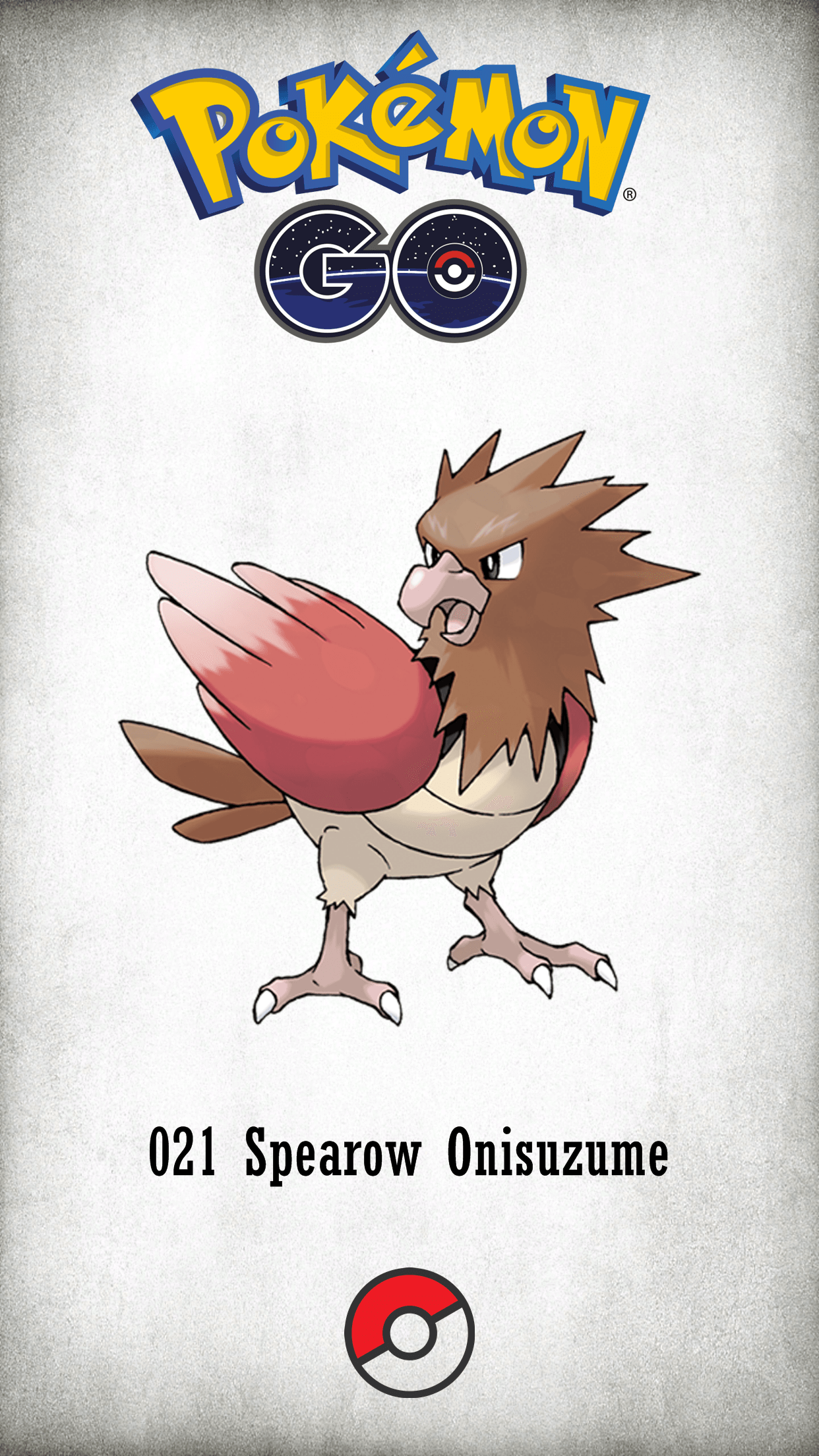 Spearow Hd Wallpapers