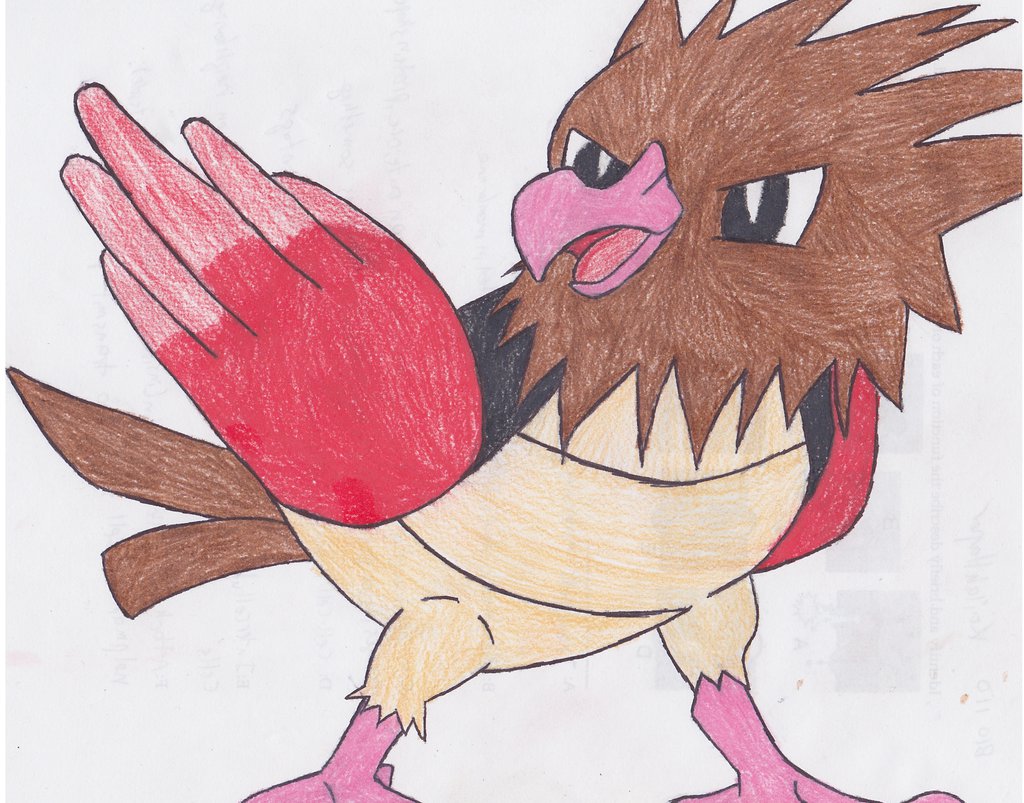 Spearow Hd Wallpapers