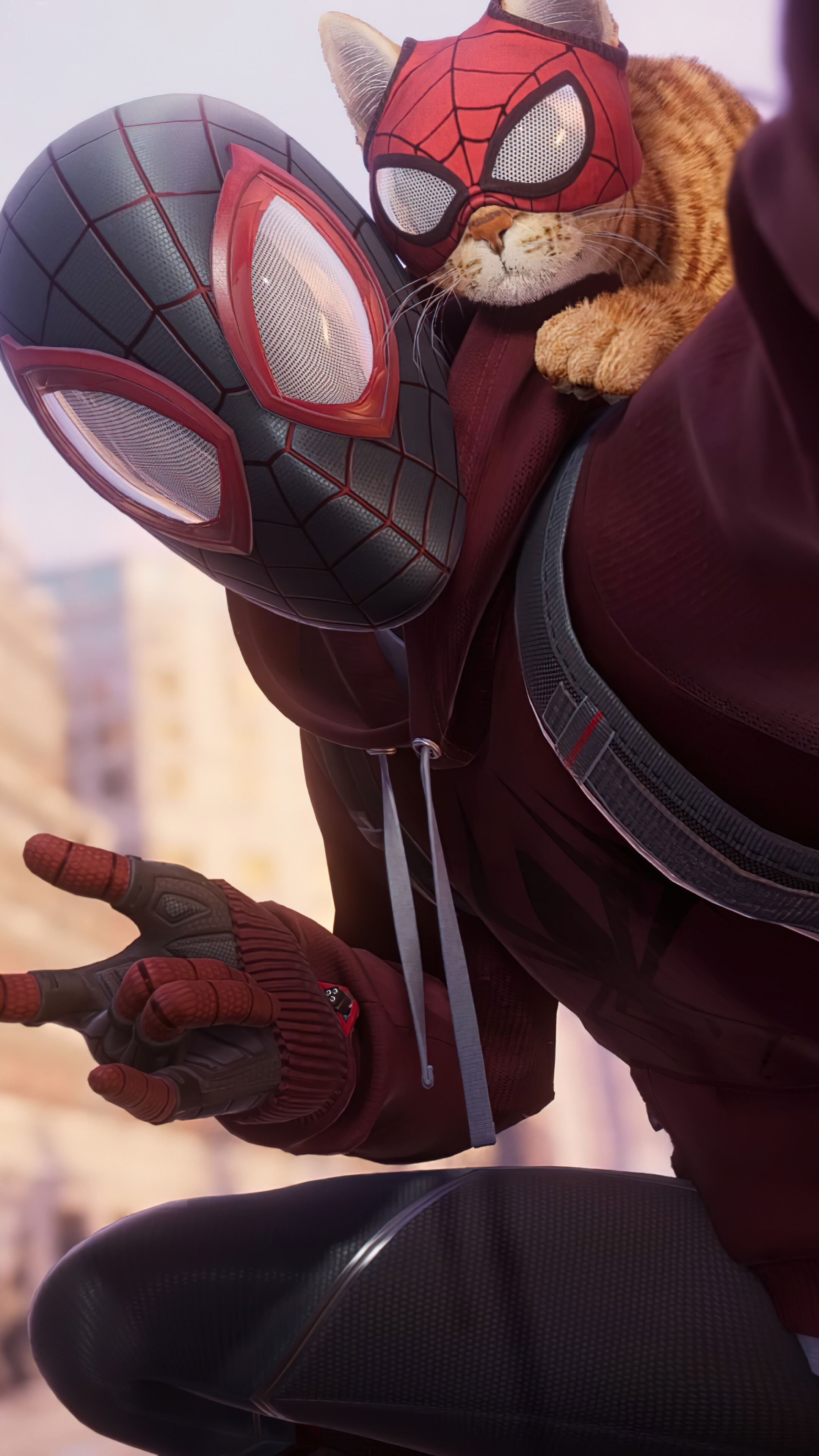 Spider Cat Spider-Man Miles Morales Wallpapers