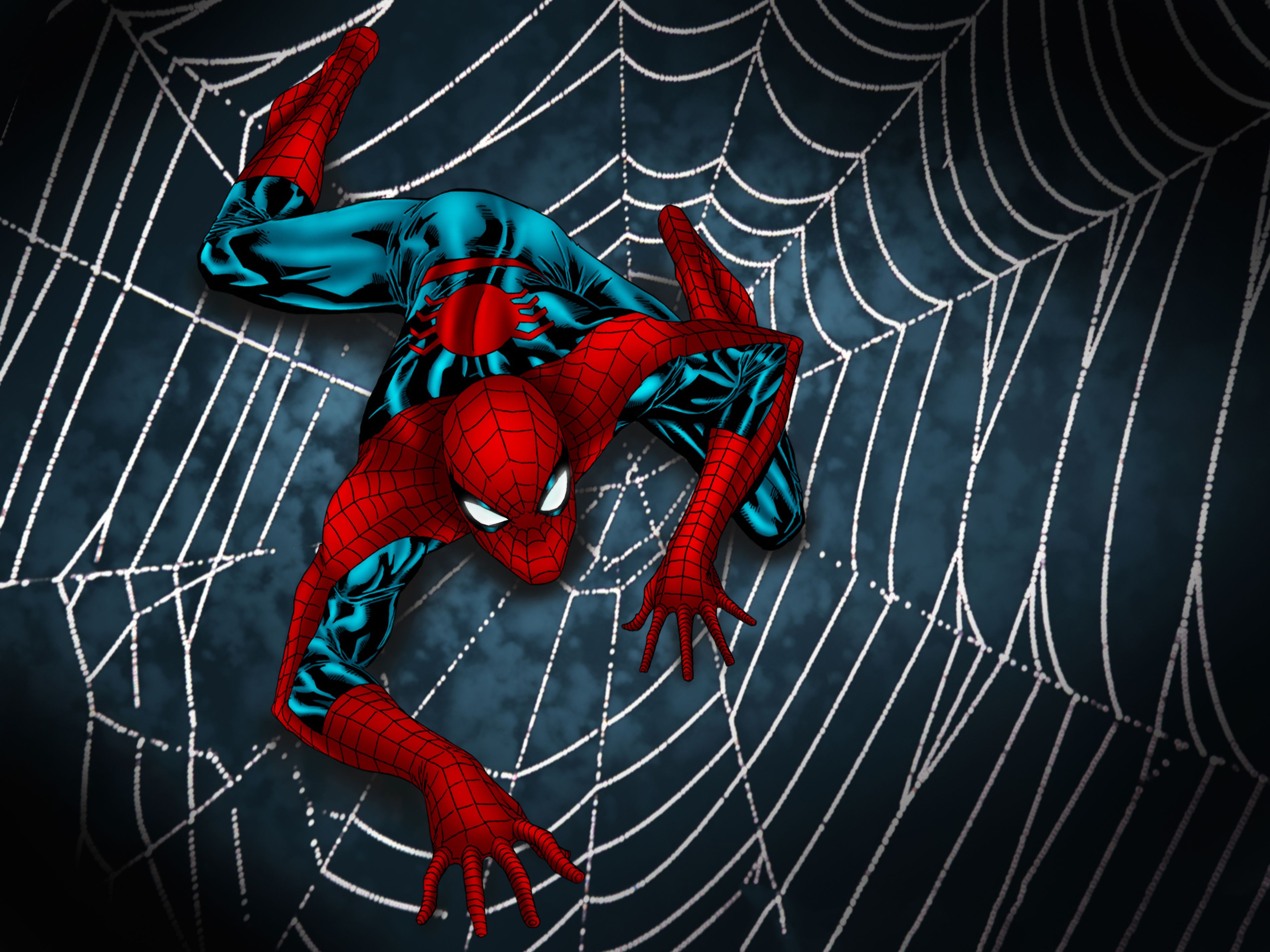 Spider-Man Got Trapped In Web Wallpapers