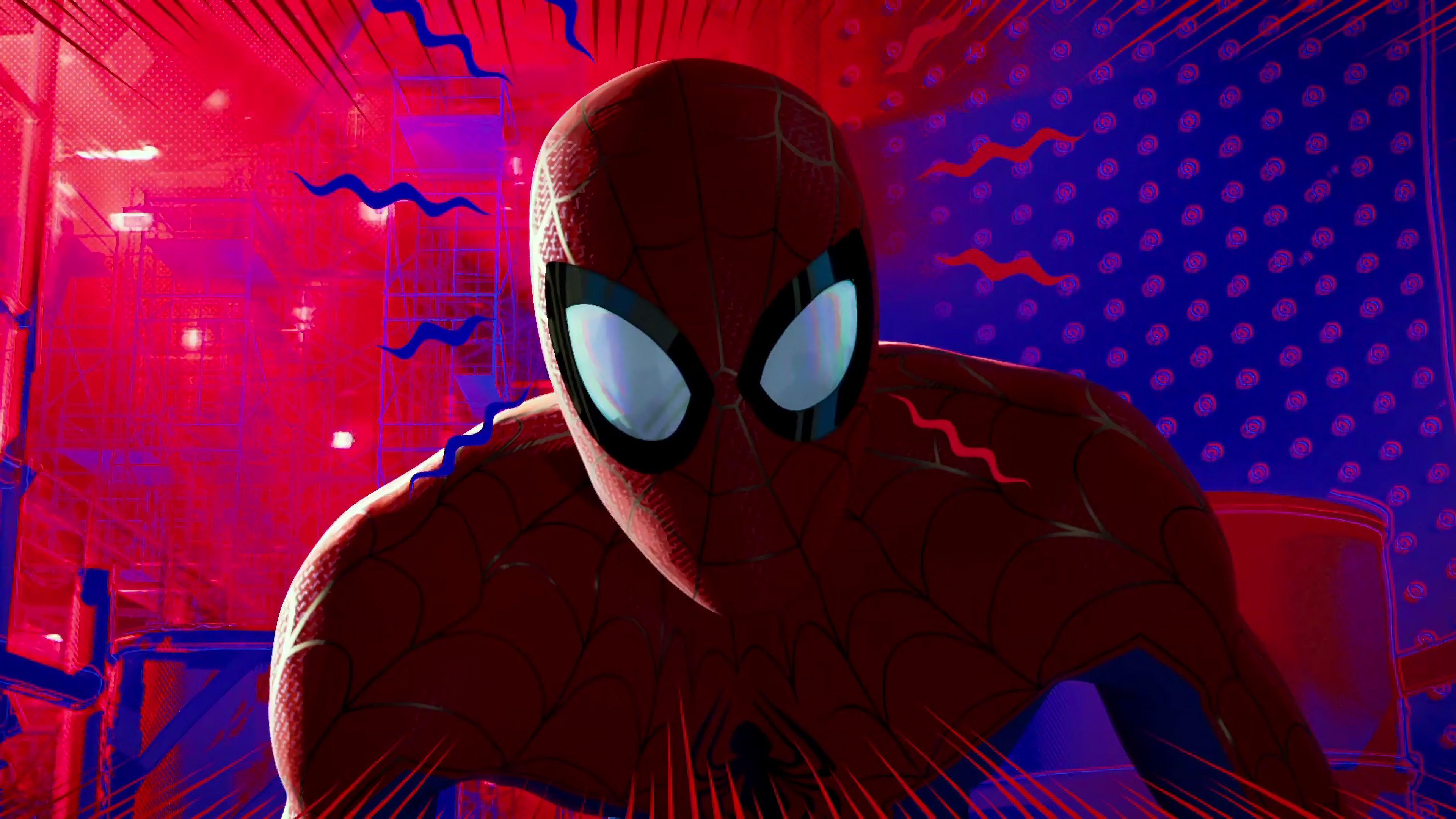 Spider-Man Into The Spider-Verse 2018 Movie Wallpapers