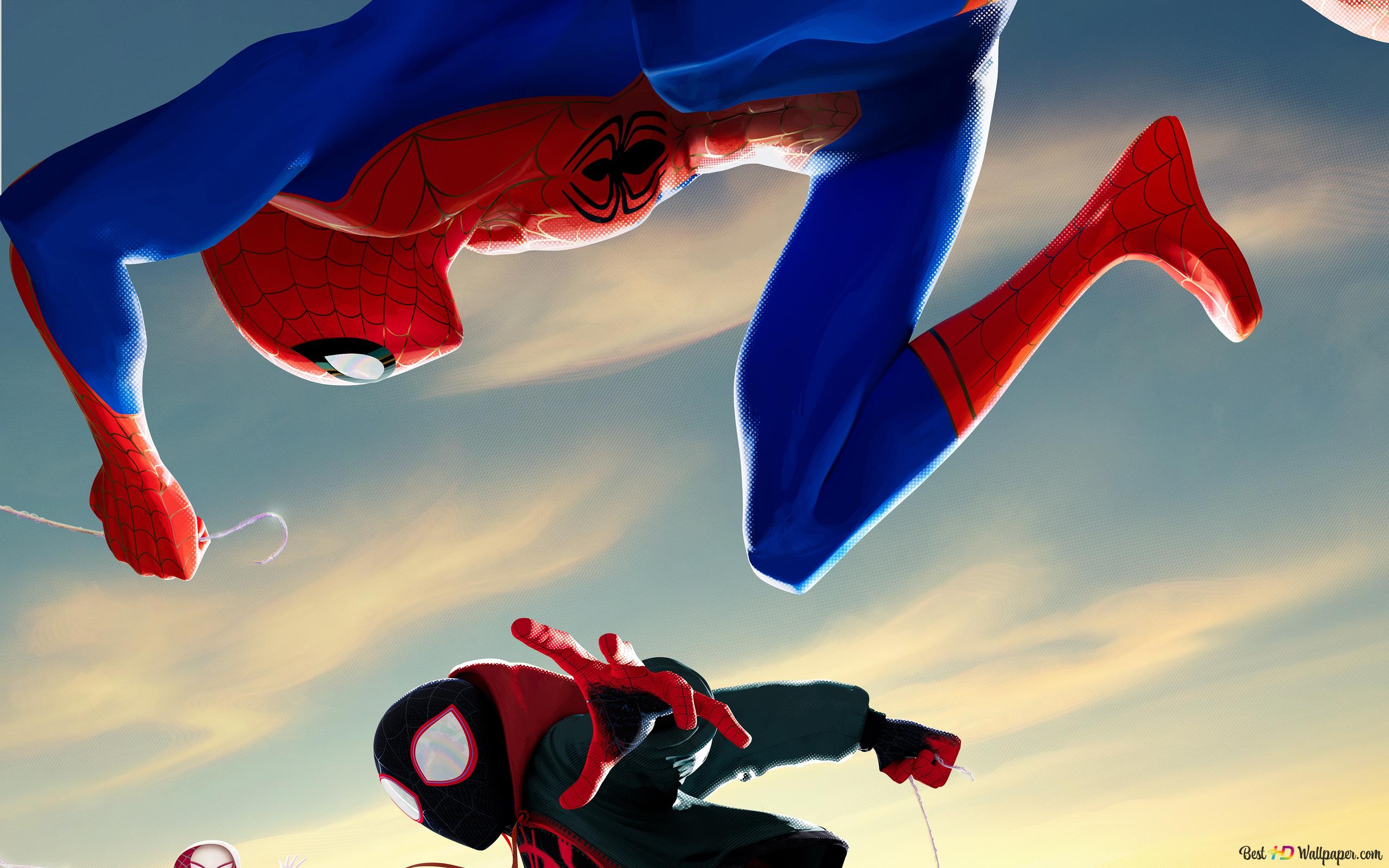 Spider-Man Into The Spider-Verse 2019 Wallpapers